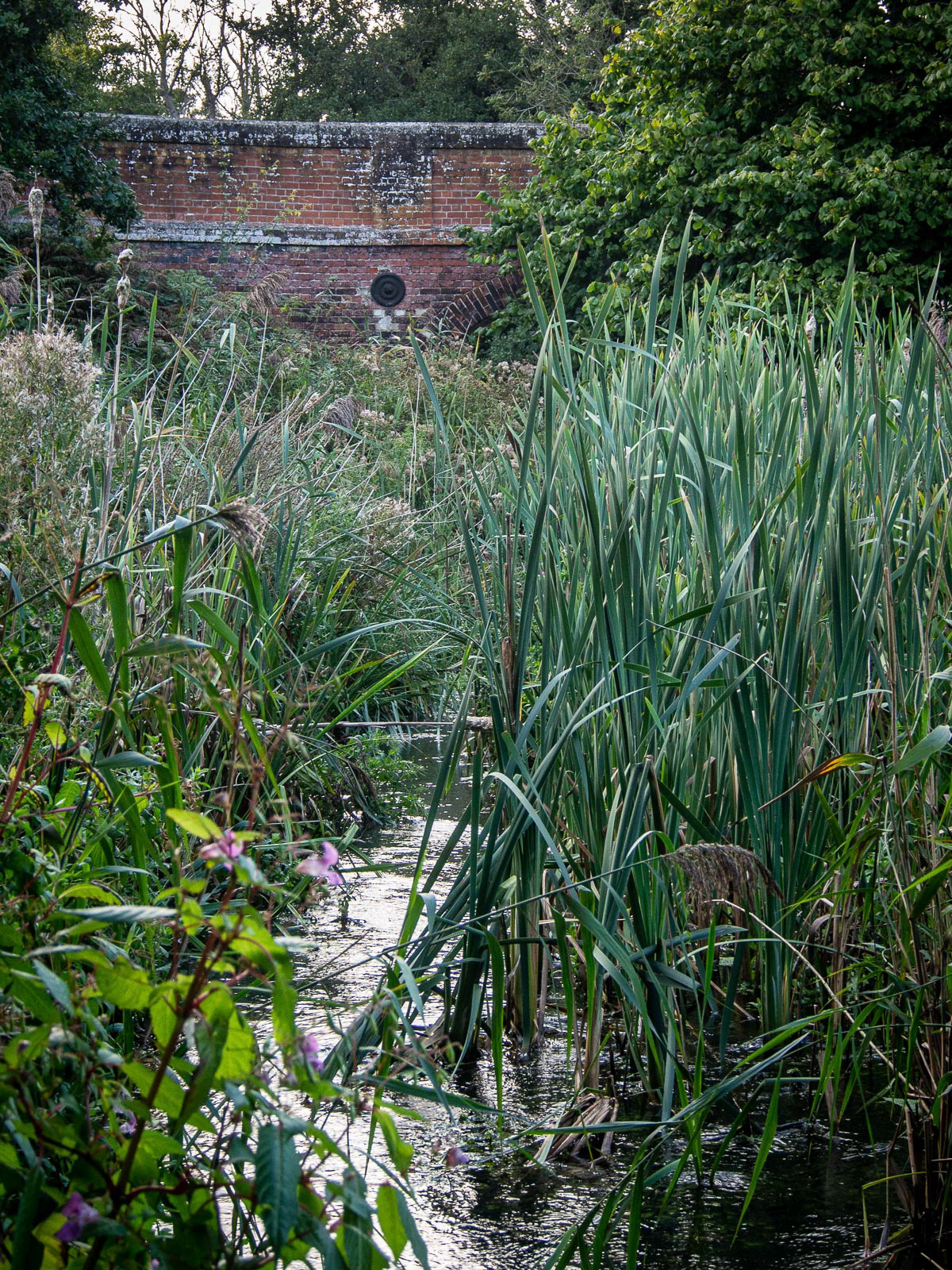 20220920 North Walsham &amp; Dilham Canal