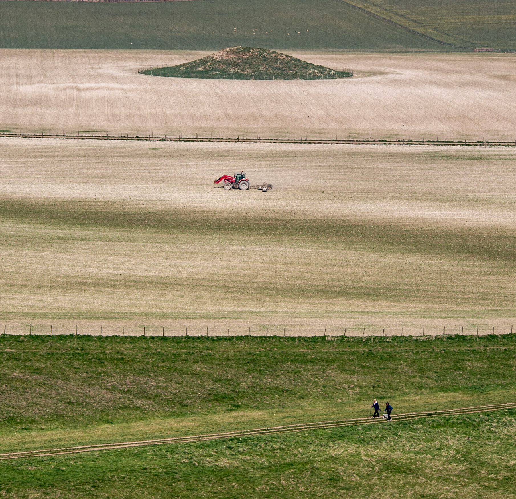 Fields, Dorset