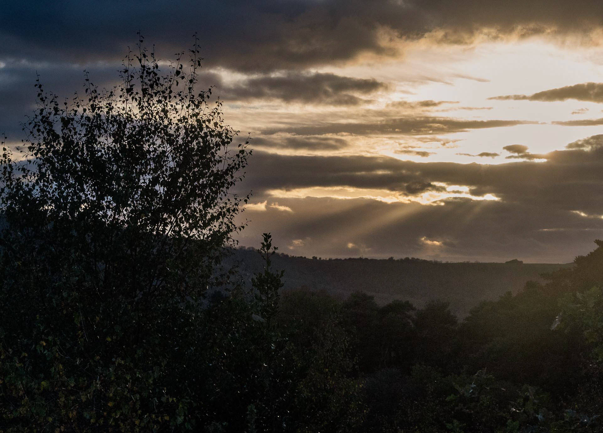 20221104 Sunrays over the downs