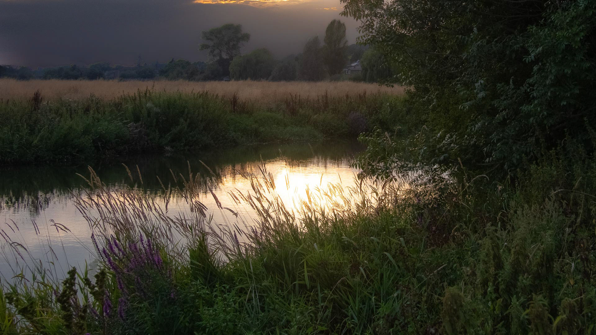 20220815 Evening Light, River Arun