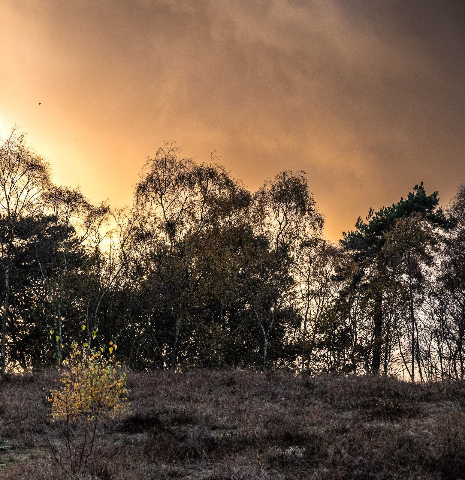 20221128 Threatening sky