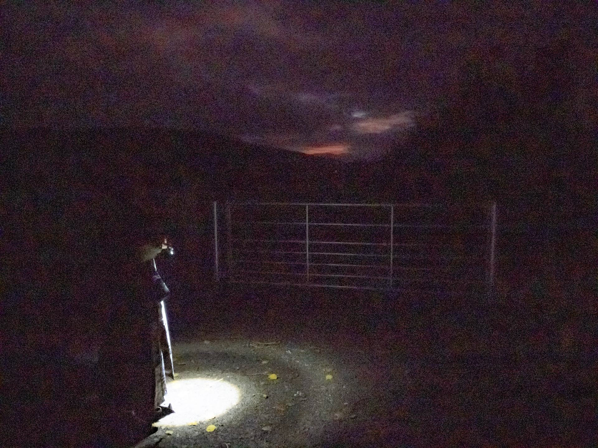 20221014 Lighting the way home