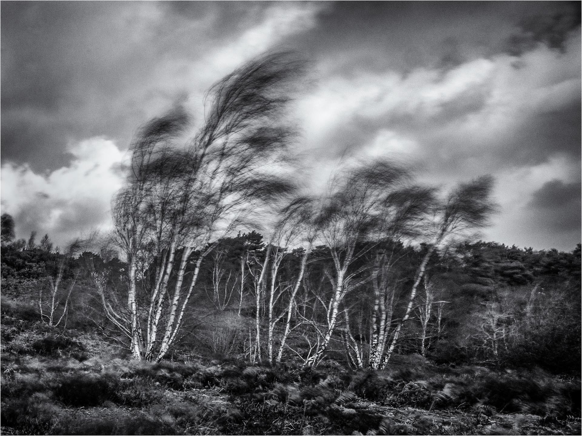 20220218 Storm Eunice strikes Sullington Warren