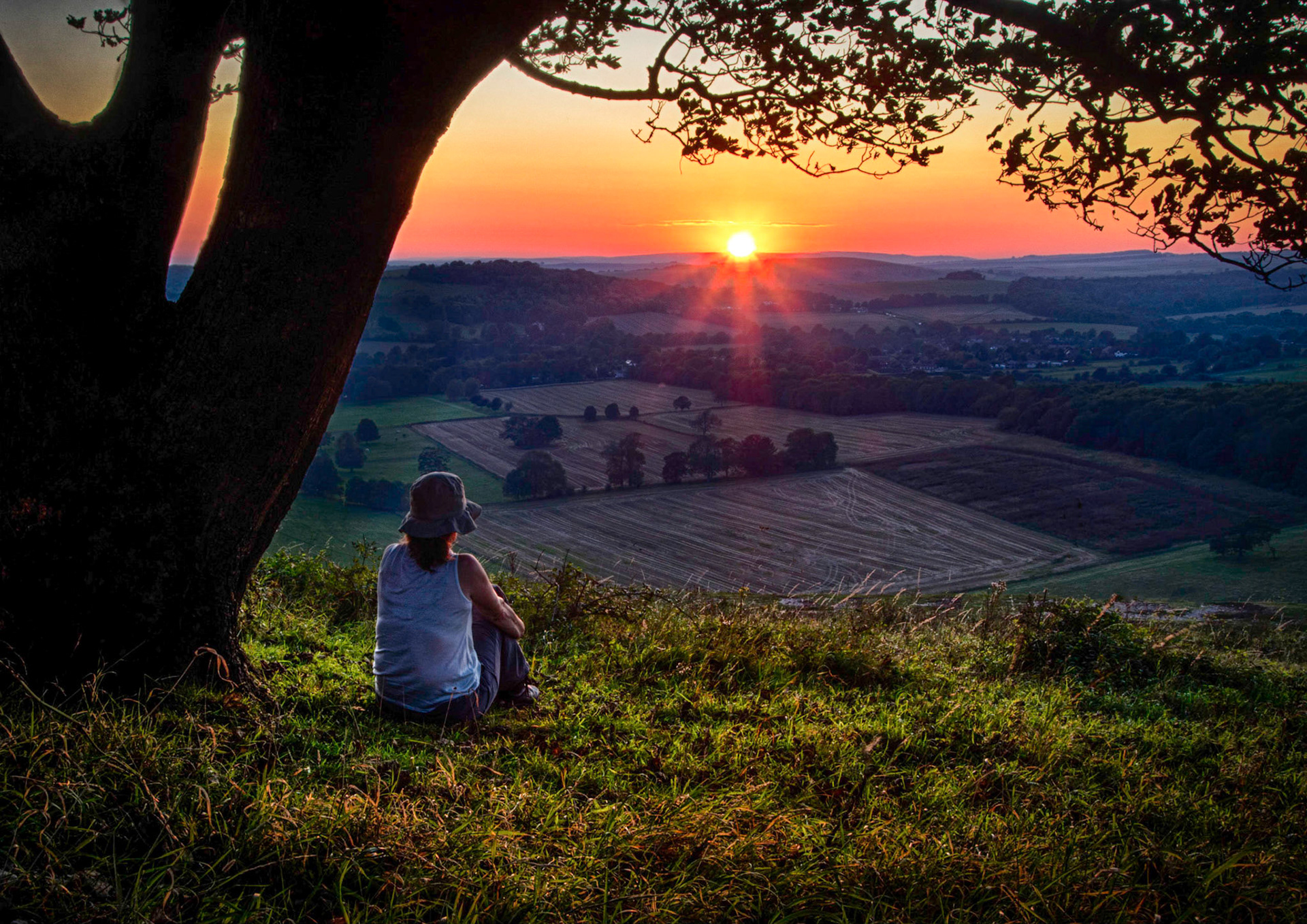 Evening Contemplation, South Downs
