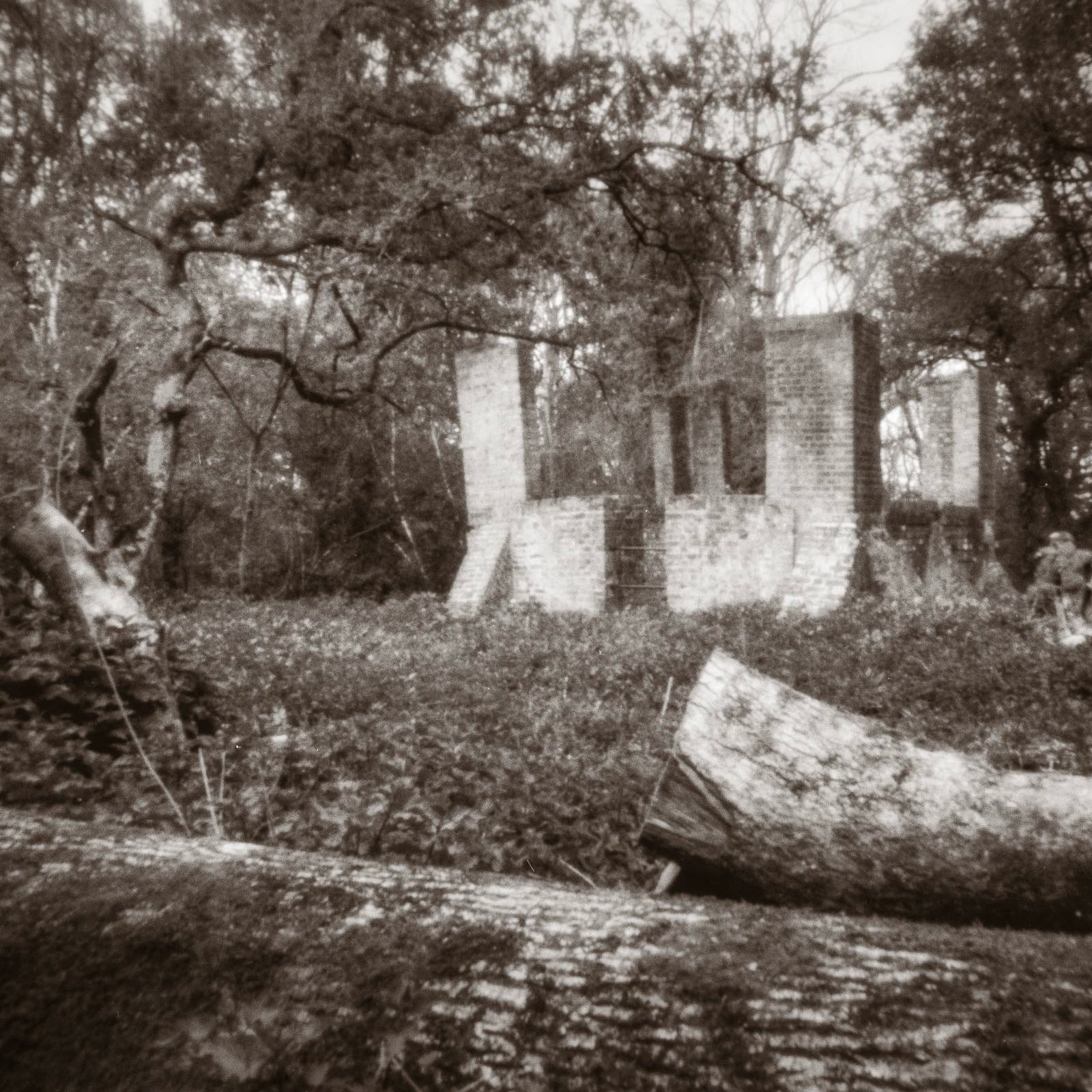 20220424 Ebernoe (World Pinhole Day)