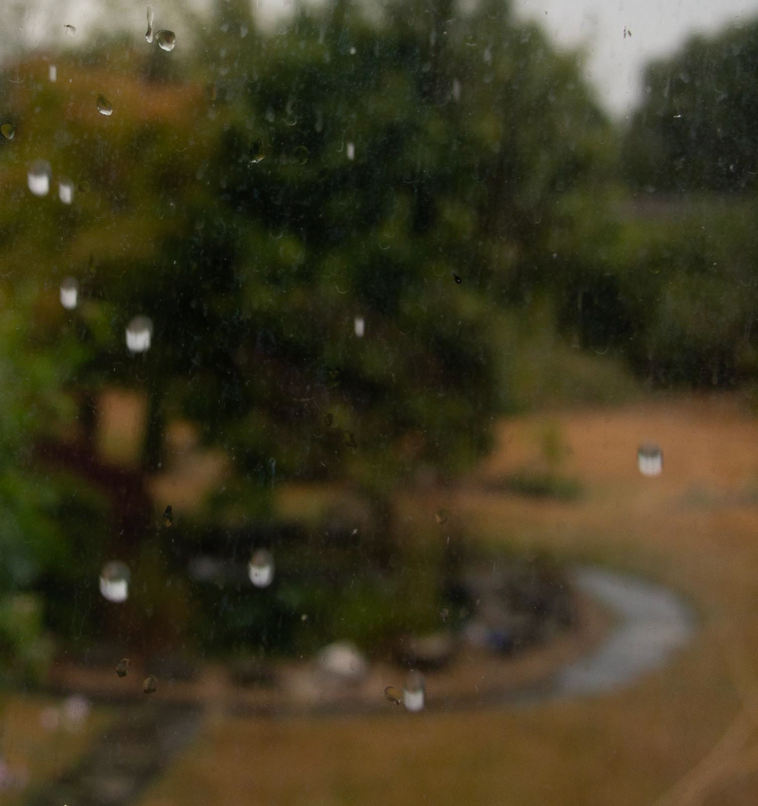20220722 Raindrops