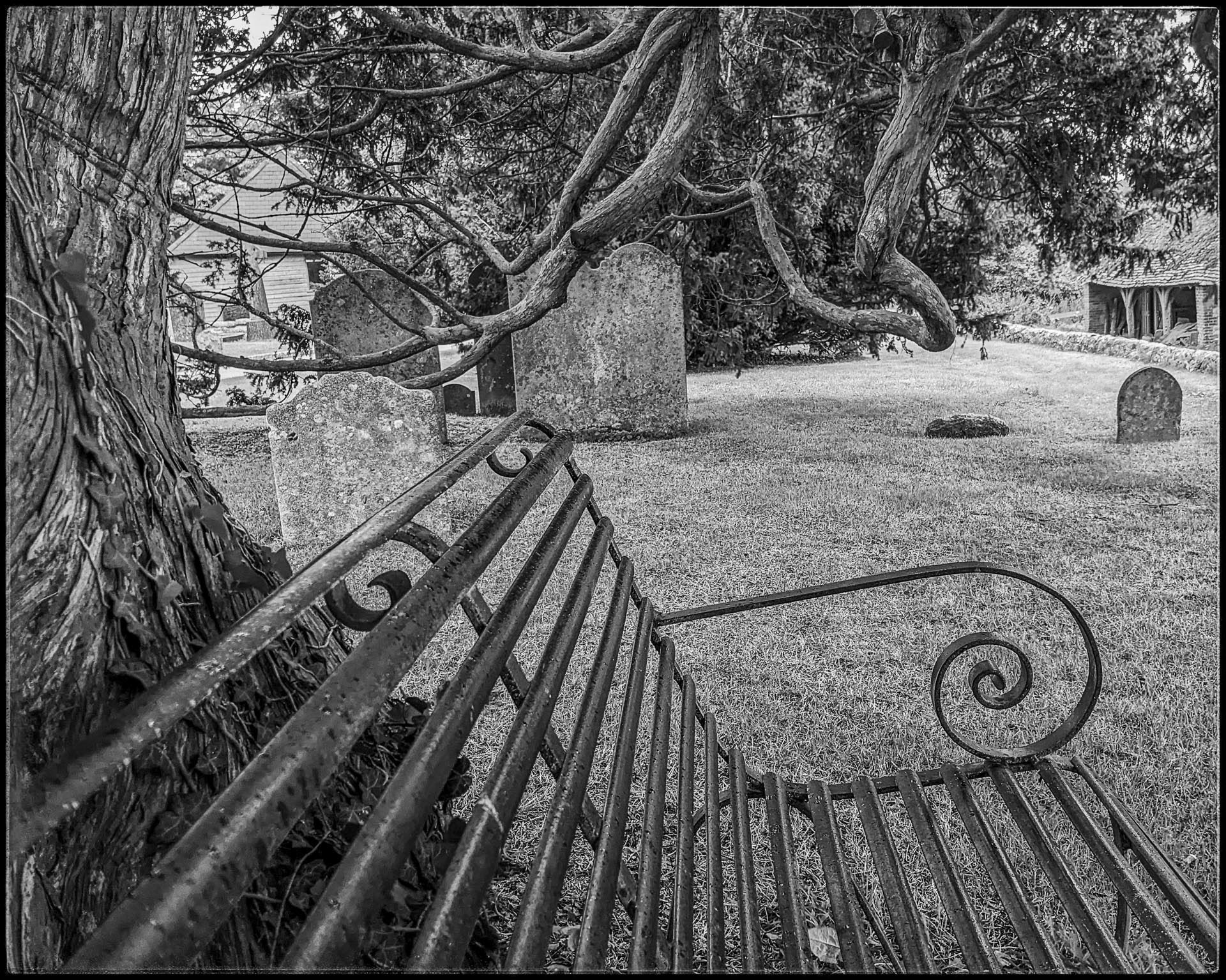 20220906 Sullington Churchyard