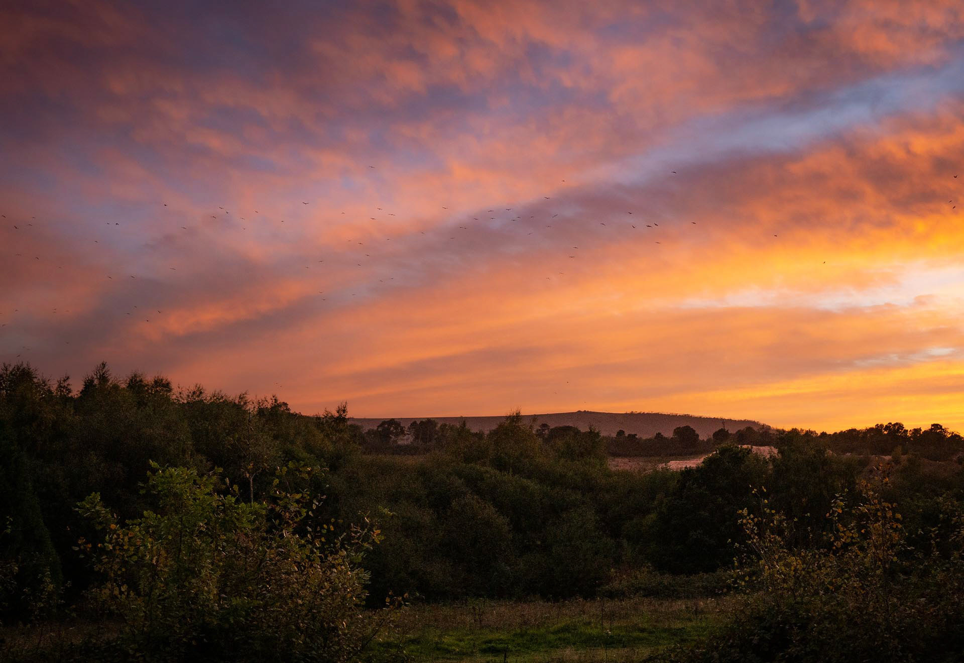 20221017  Sunset over the Downs
