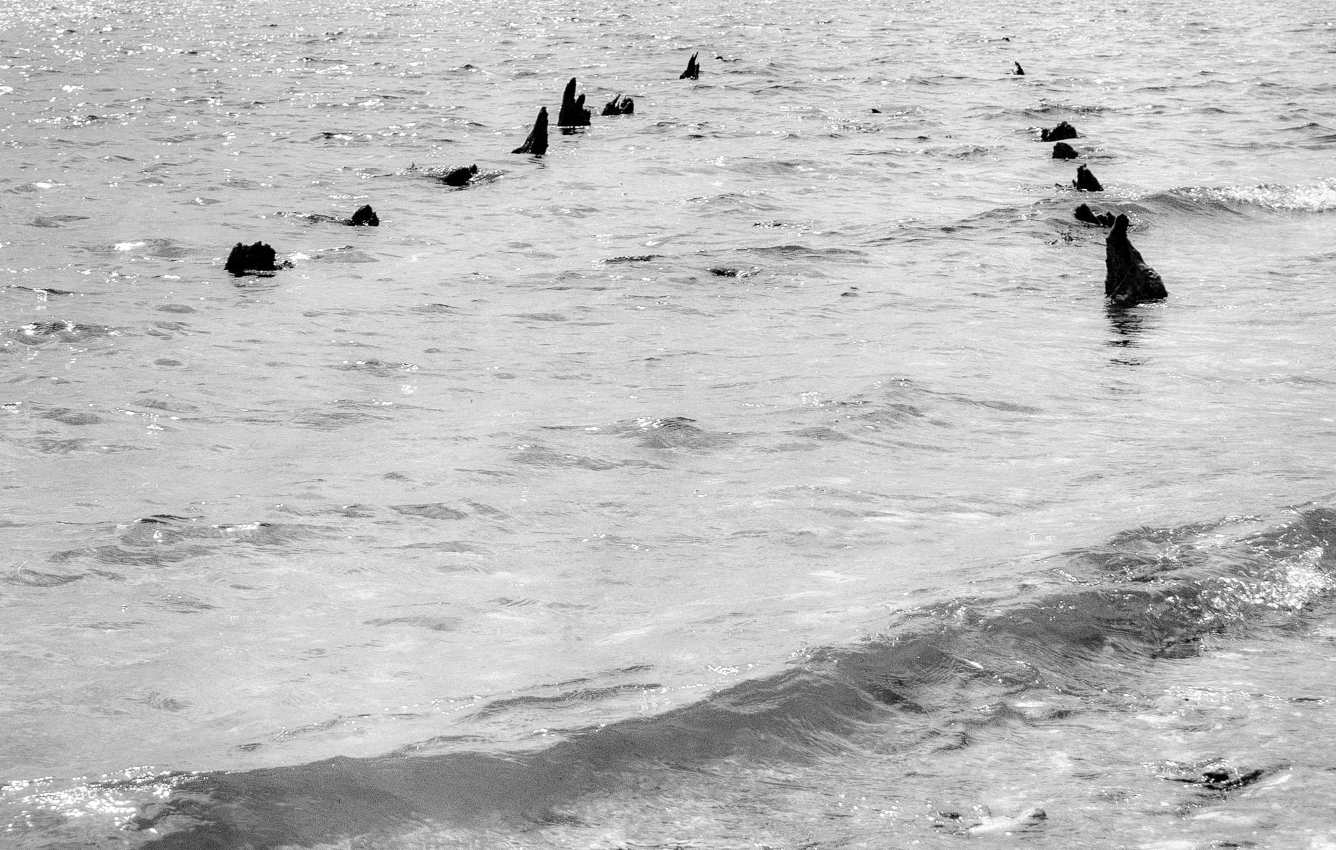 20220731 Sunken Posts