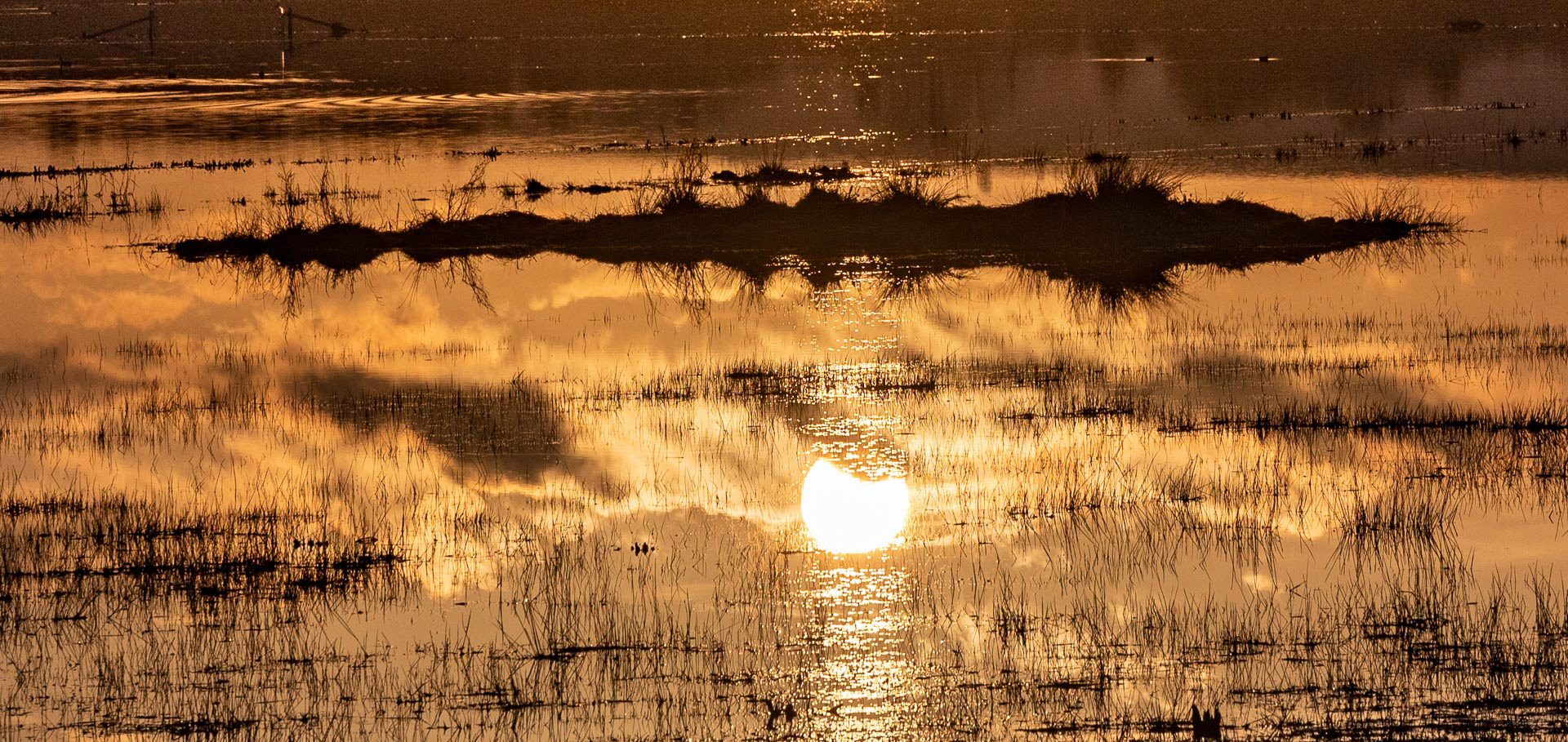 20221130 On Golden Flood