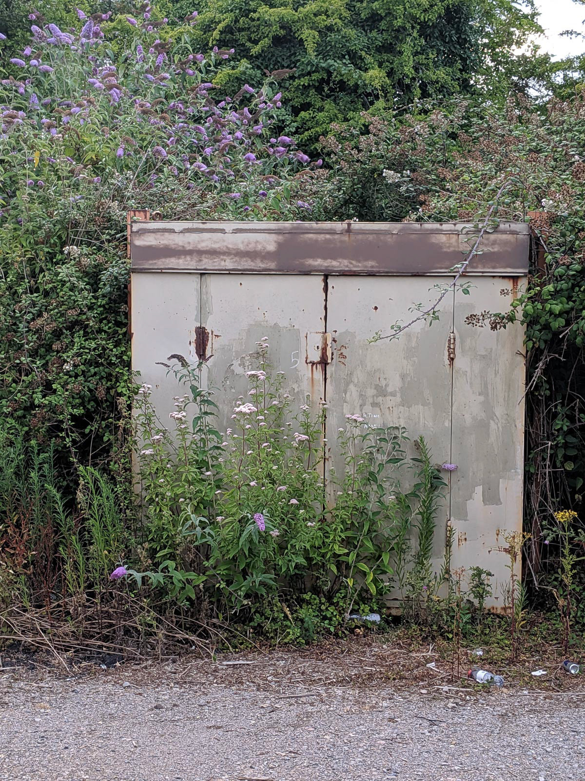 20220725 Return to the Wild