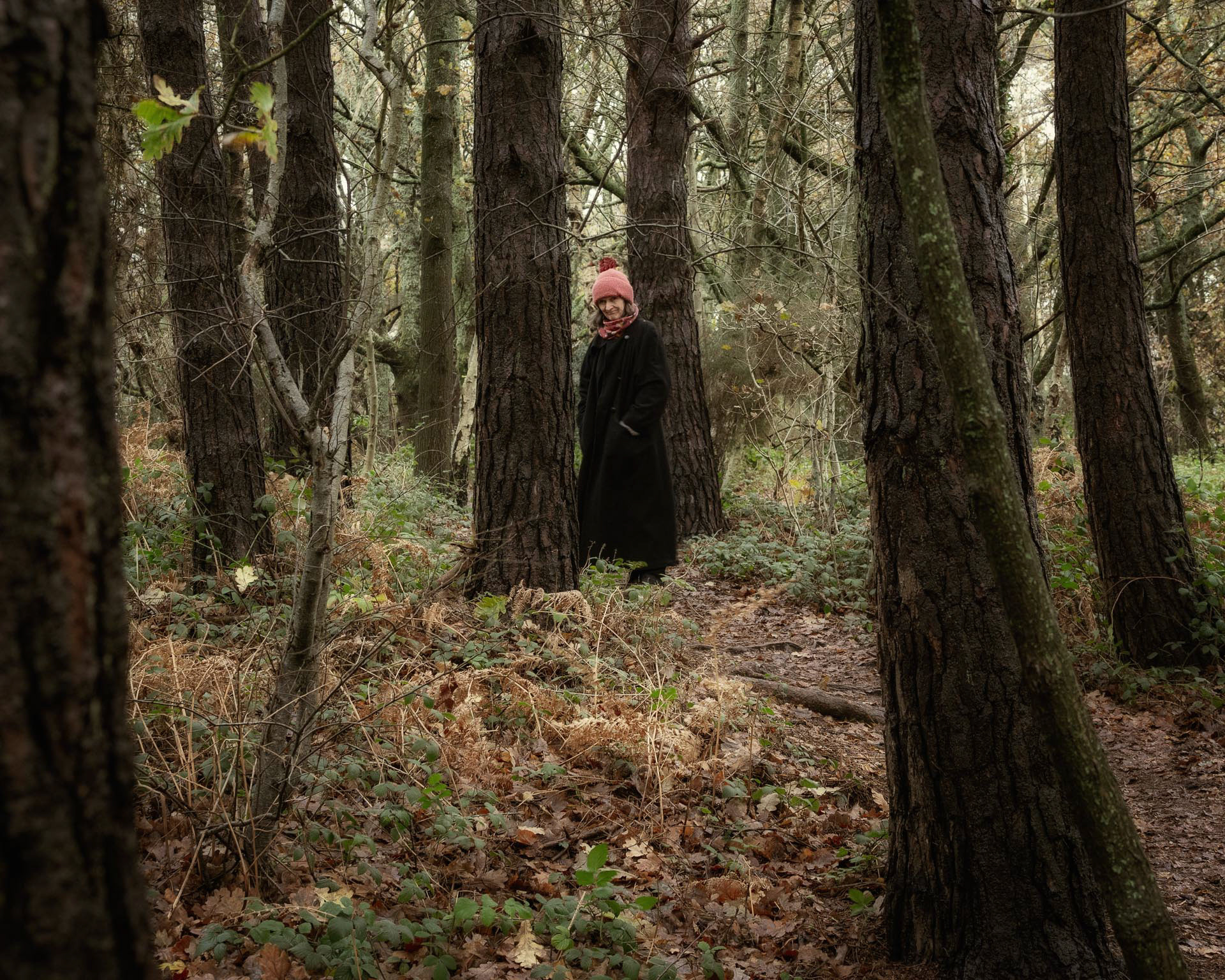 20221222 Walk in the Woods