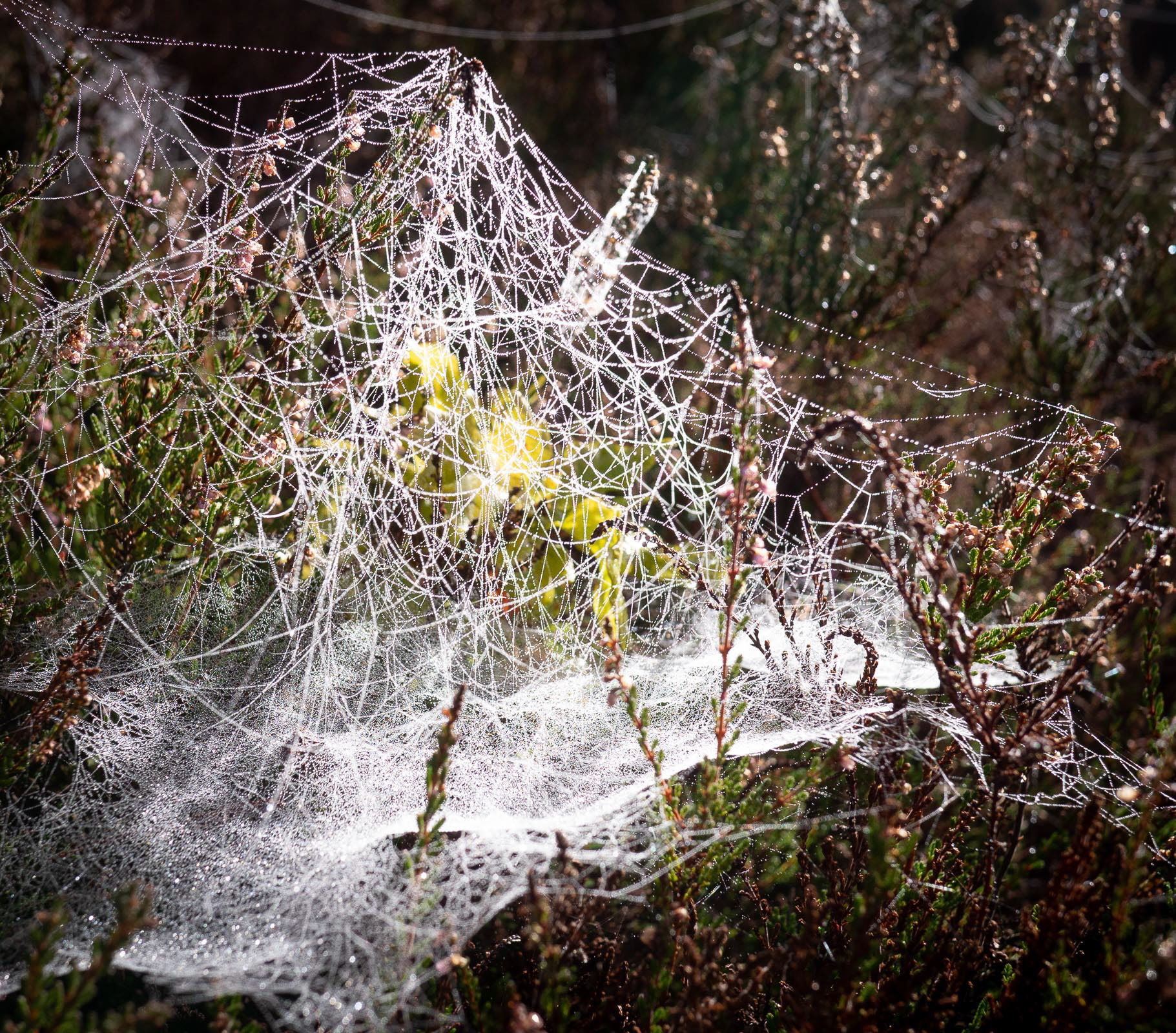 20220930 Webs Sullington Warren