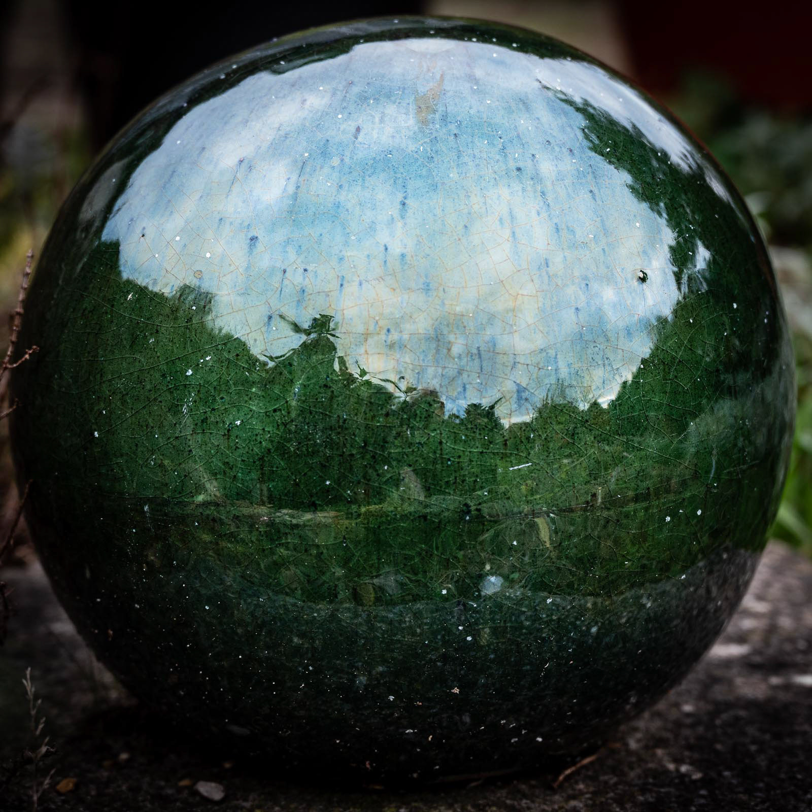 20221118 Garden Reflection