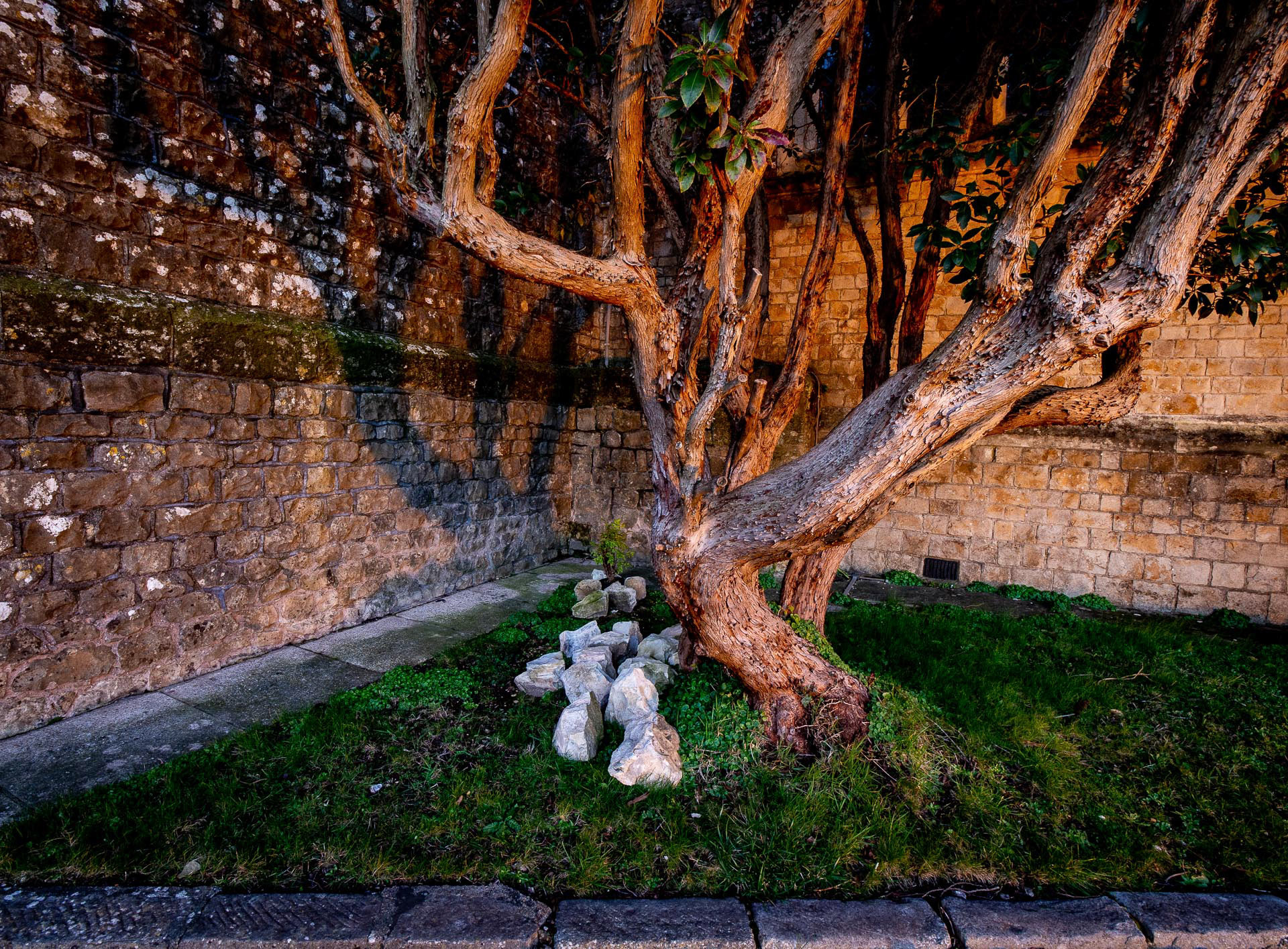 20220224 St Mary's Churchyard