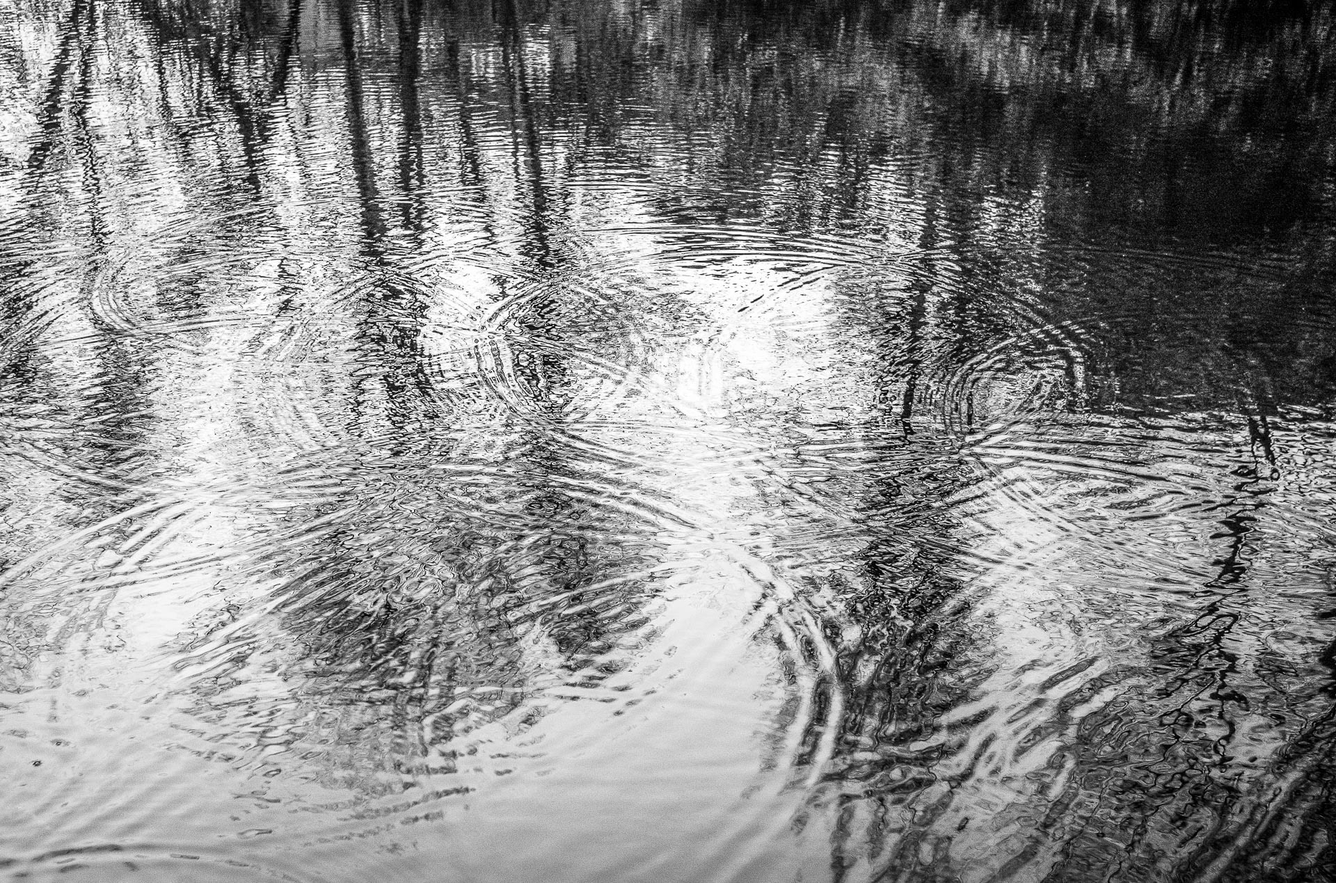 20220102: Rain Drips