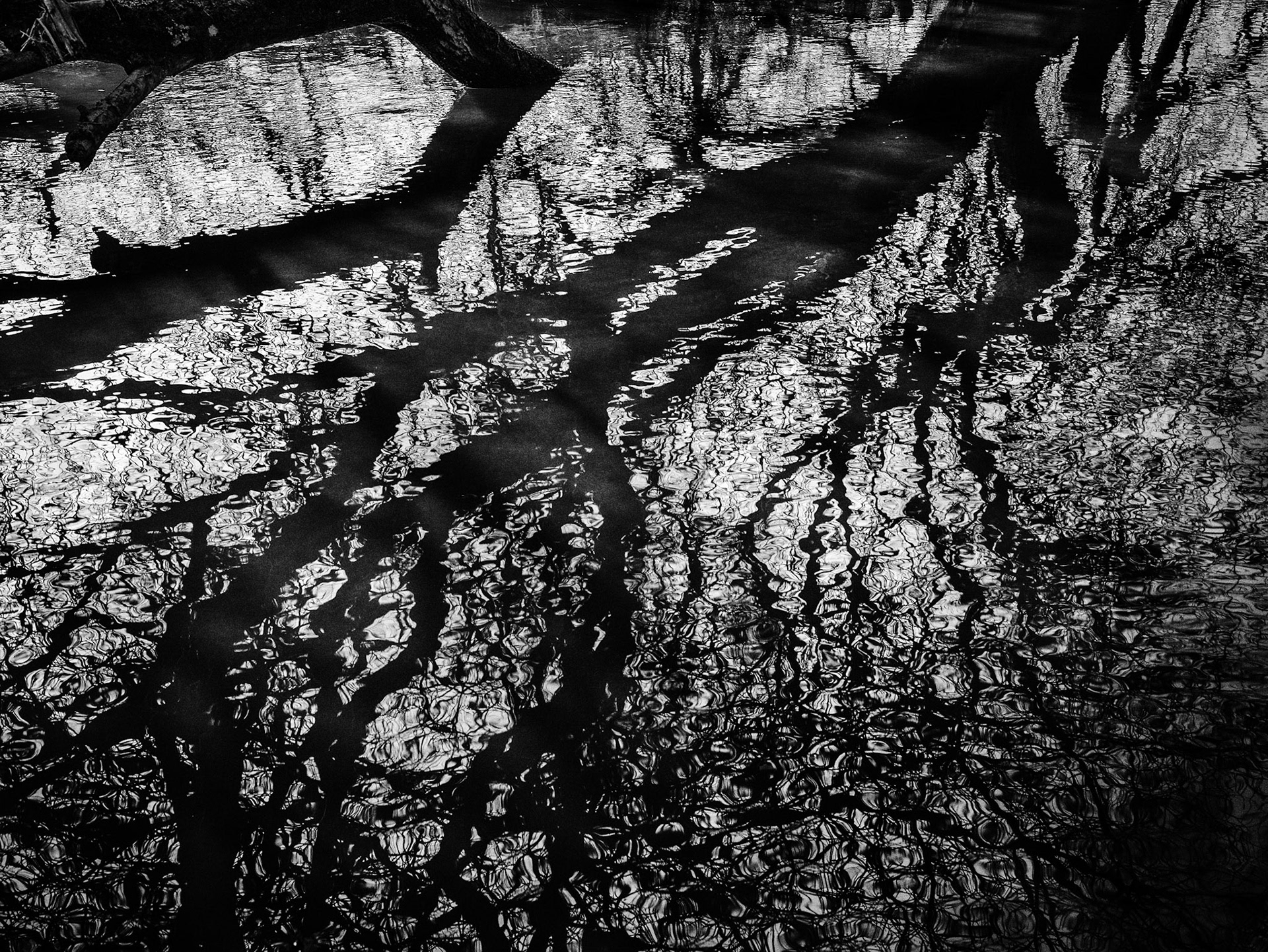 A Flooded Arun