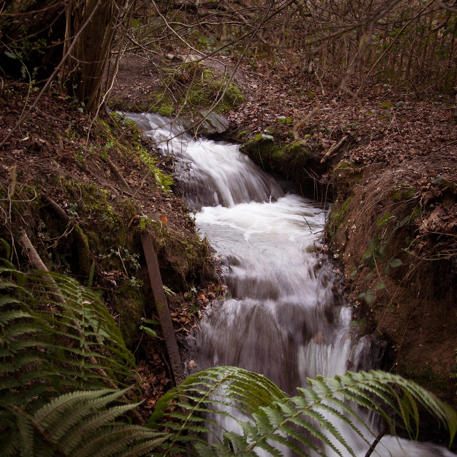 20220208 Cascading Stream