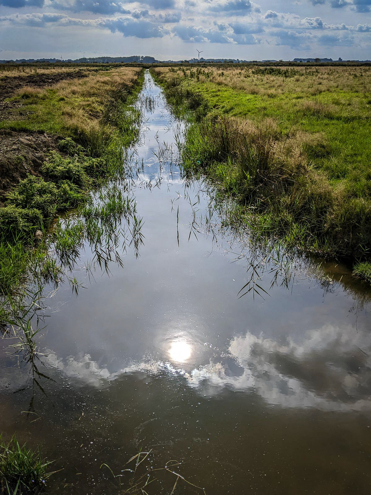 20220922 Horsey Drainage Ditch