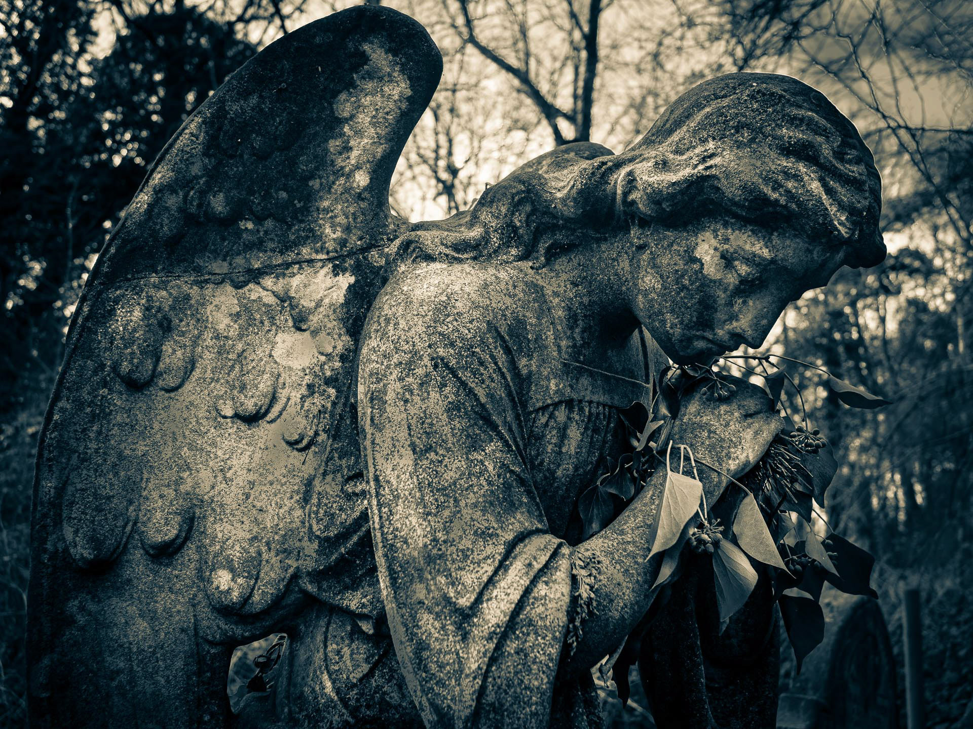 20220105 Angel (Nunhead Cemetery)