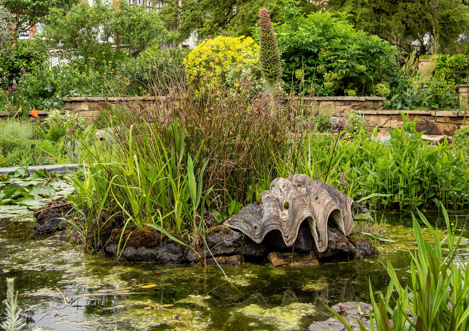 20220525 Physic Garden