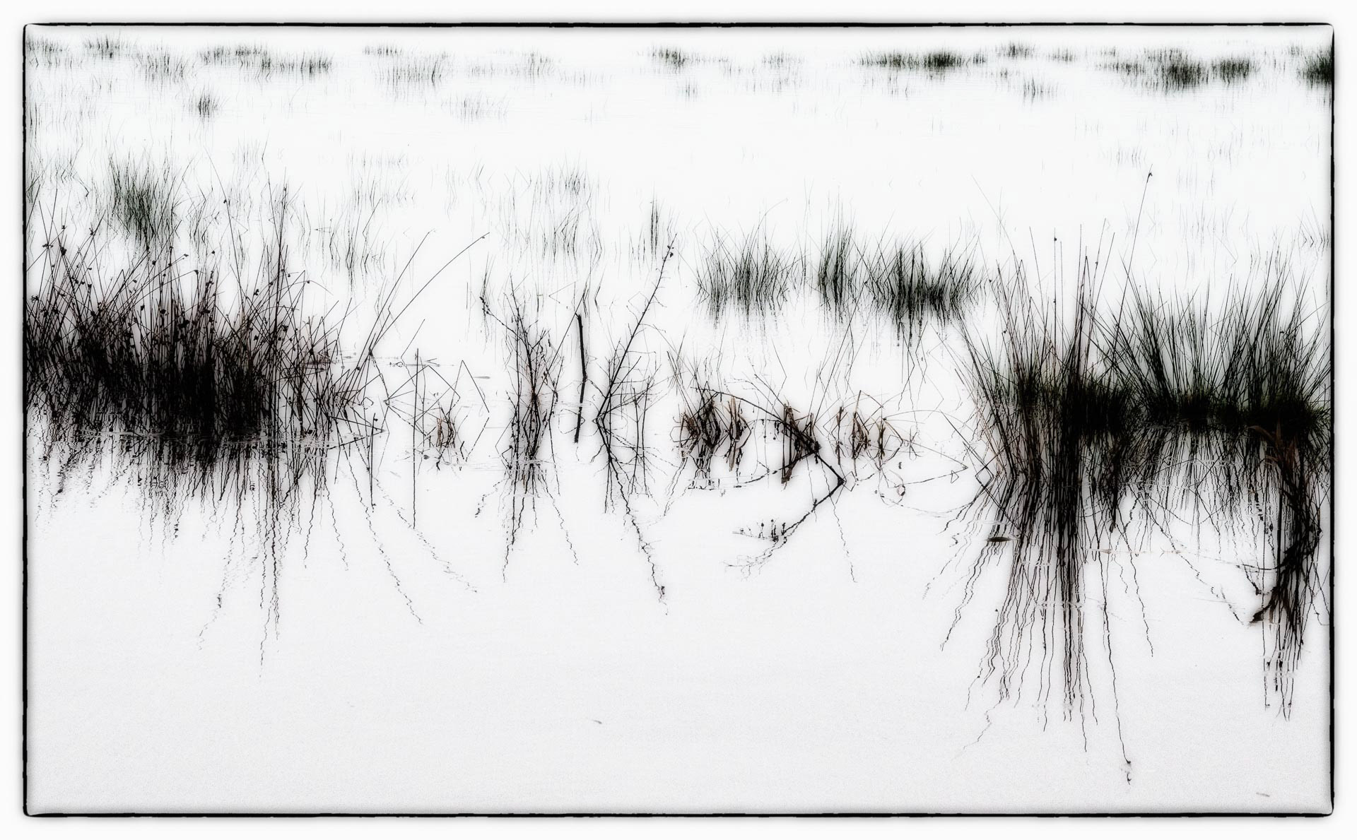 20221231 Flooded Field