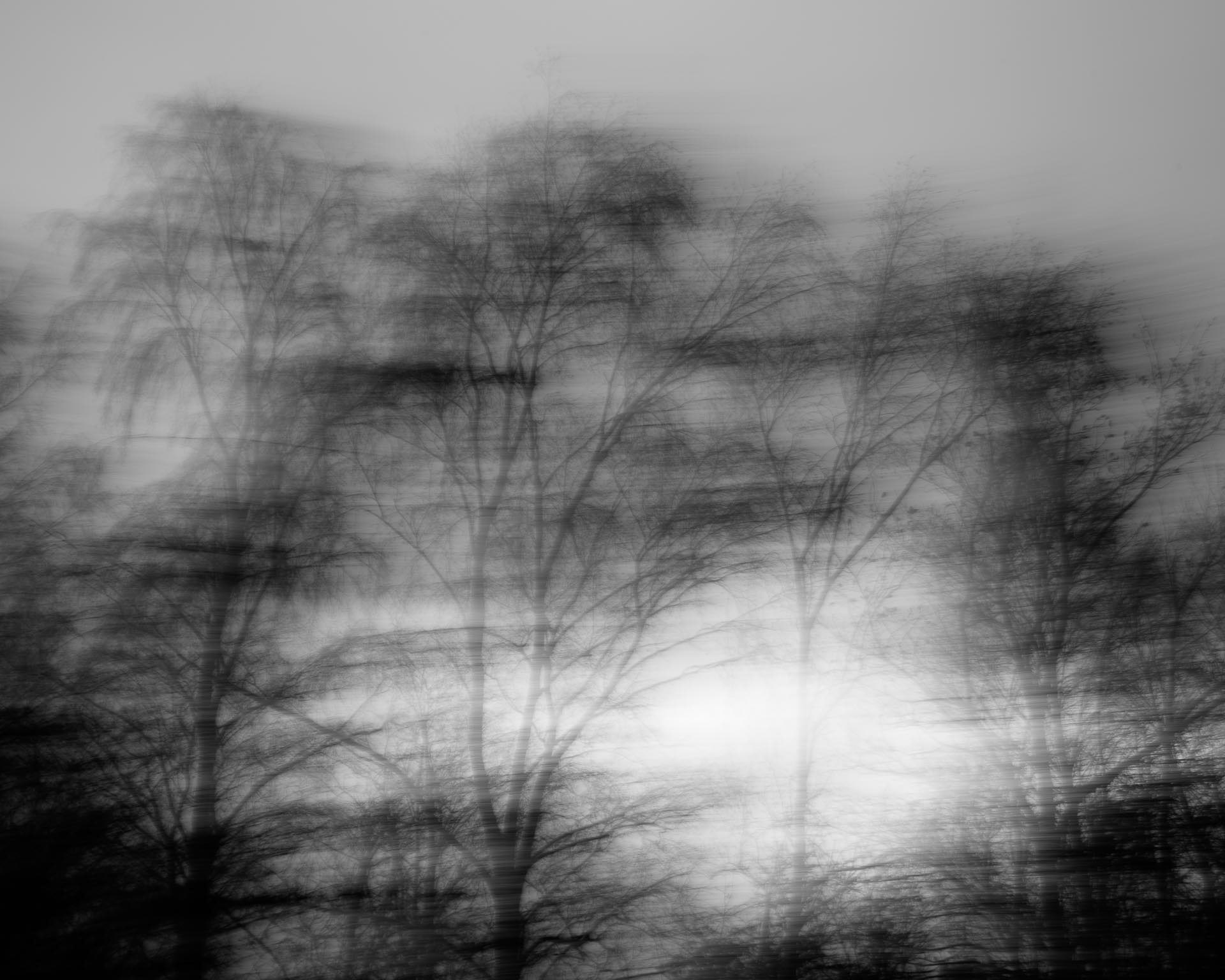 20221221 Moving Birch (ICM)