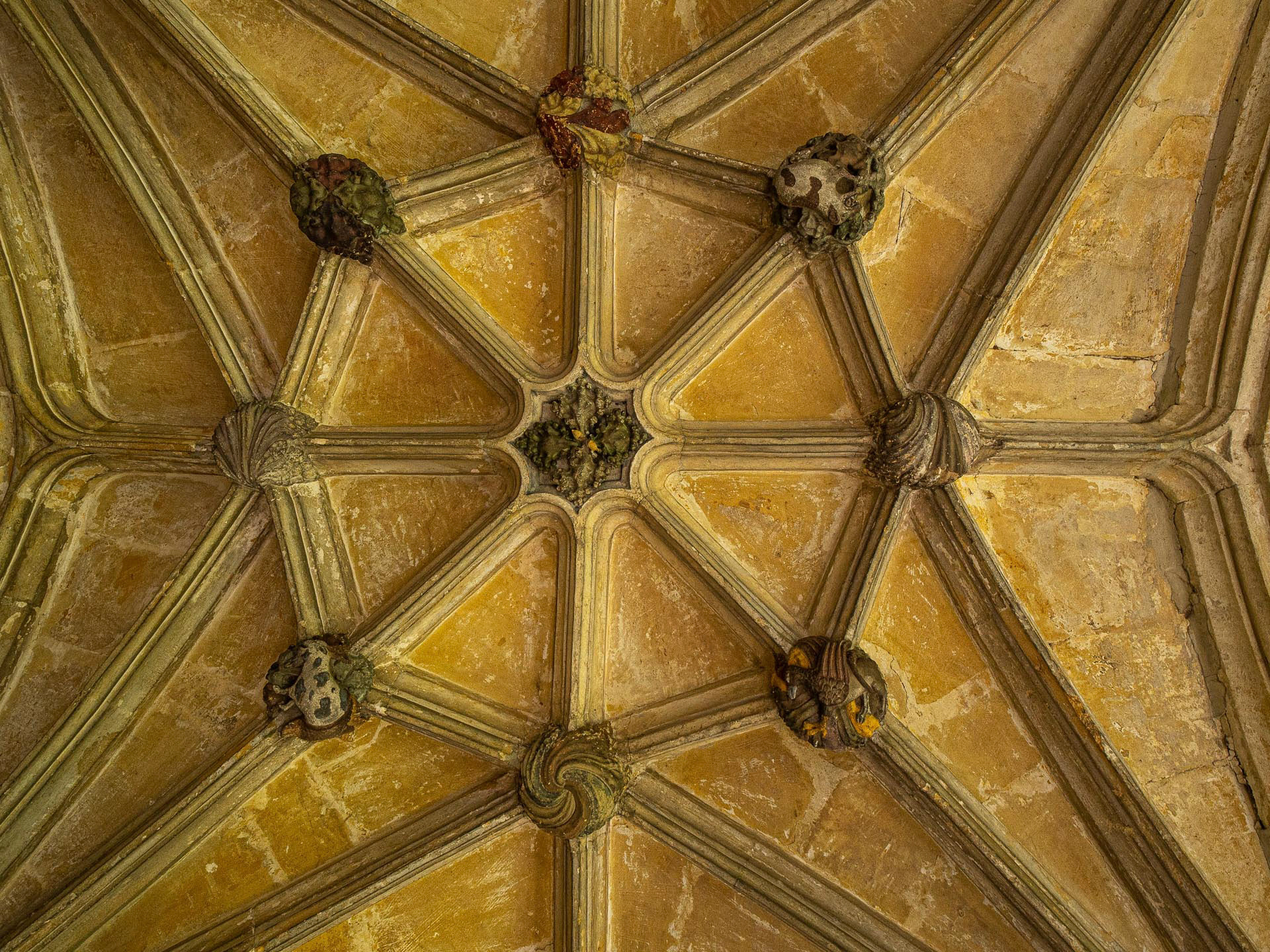 20220709 Lacock Abbey Ceiling