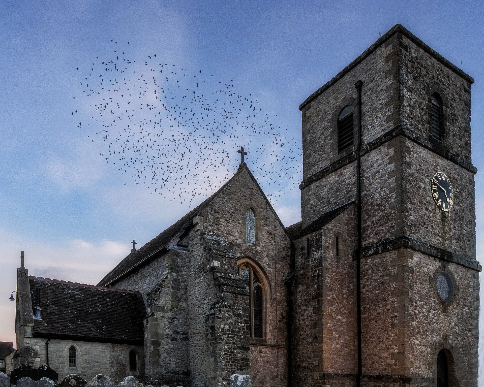 20220131 Murmuration over St Marys, Storrington