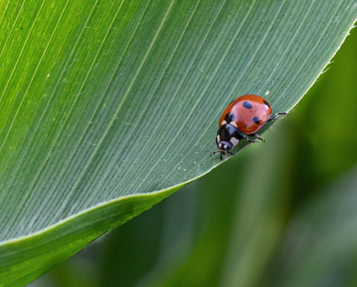 20220723 On the Edge