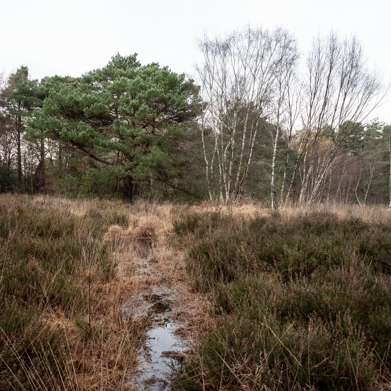 20221220 Sullington Warren