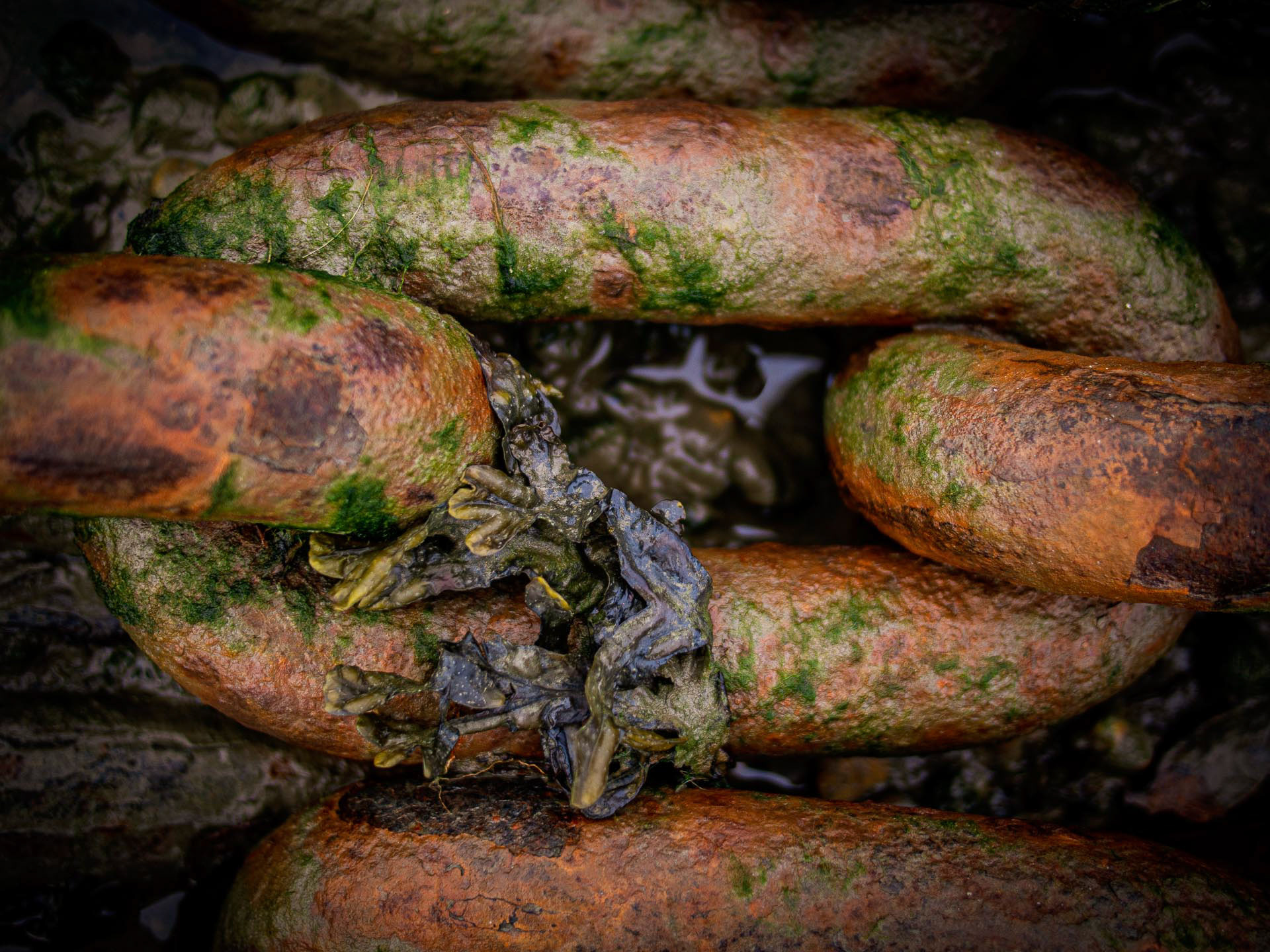 20220308 Mooring Chain