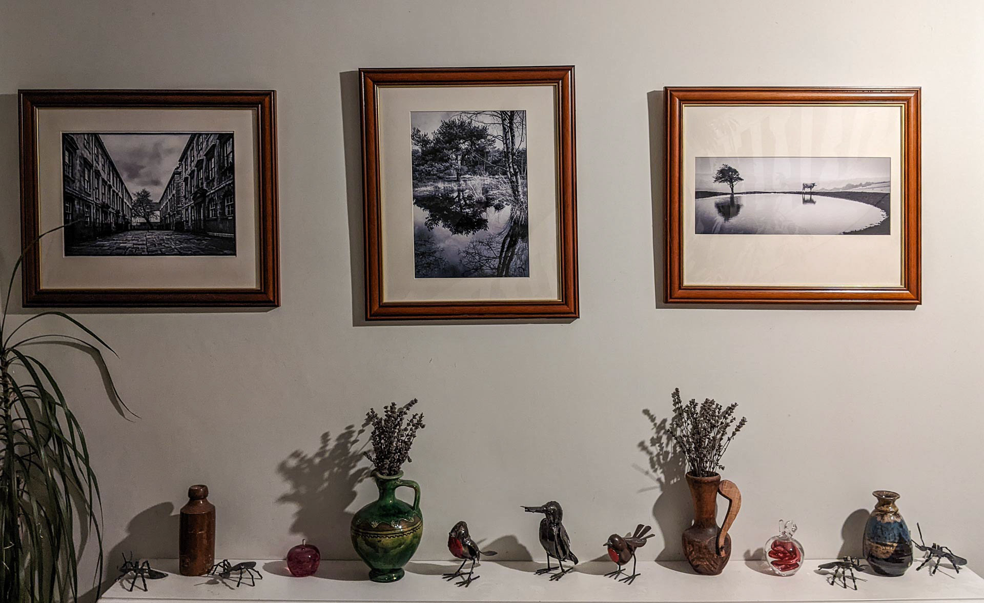 20220919 Photos and Ornaments