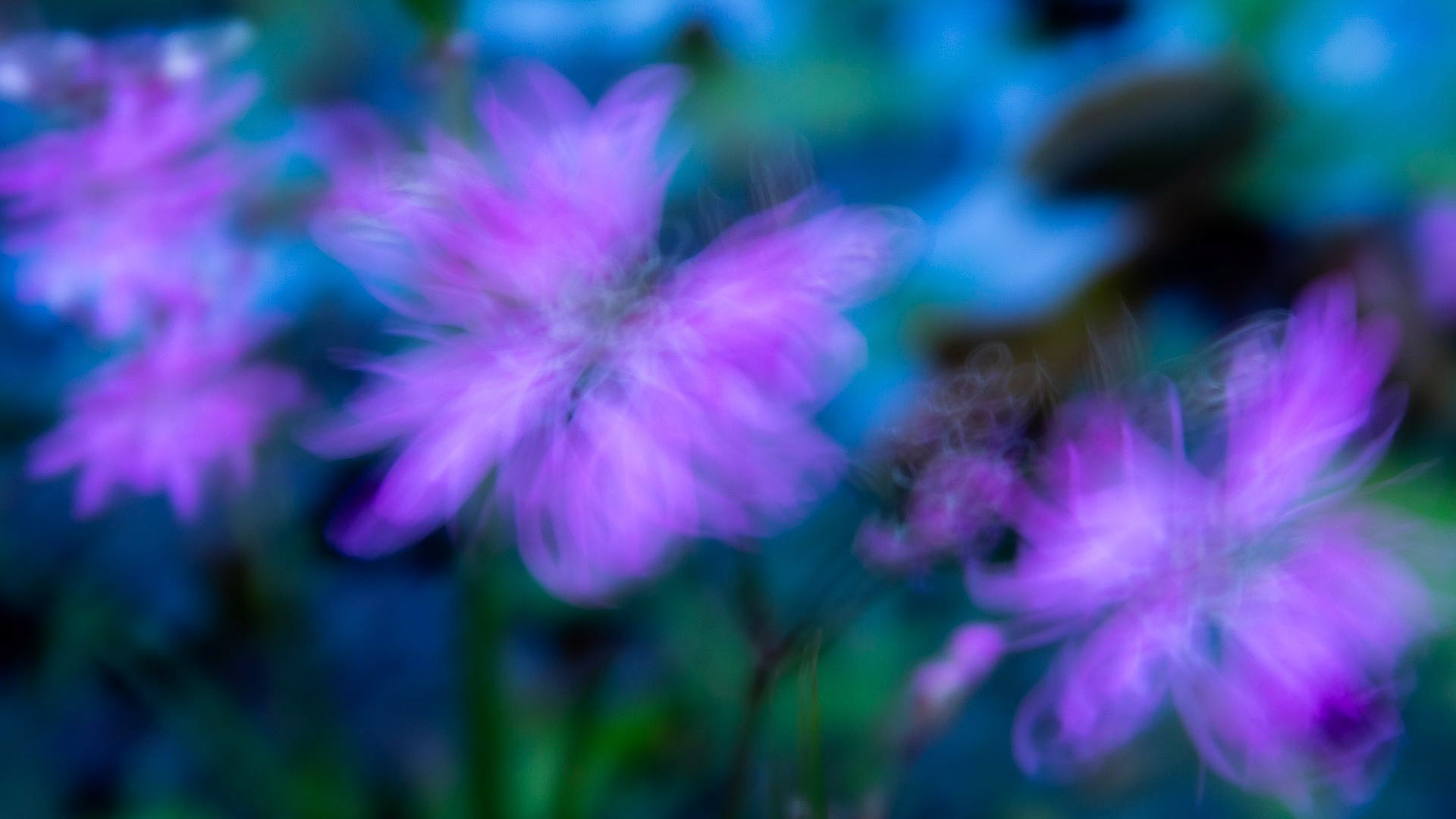 20220509 Shaken By the Windp