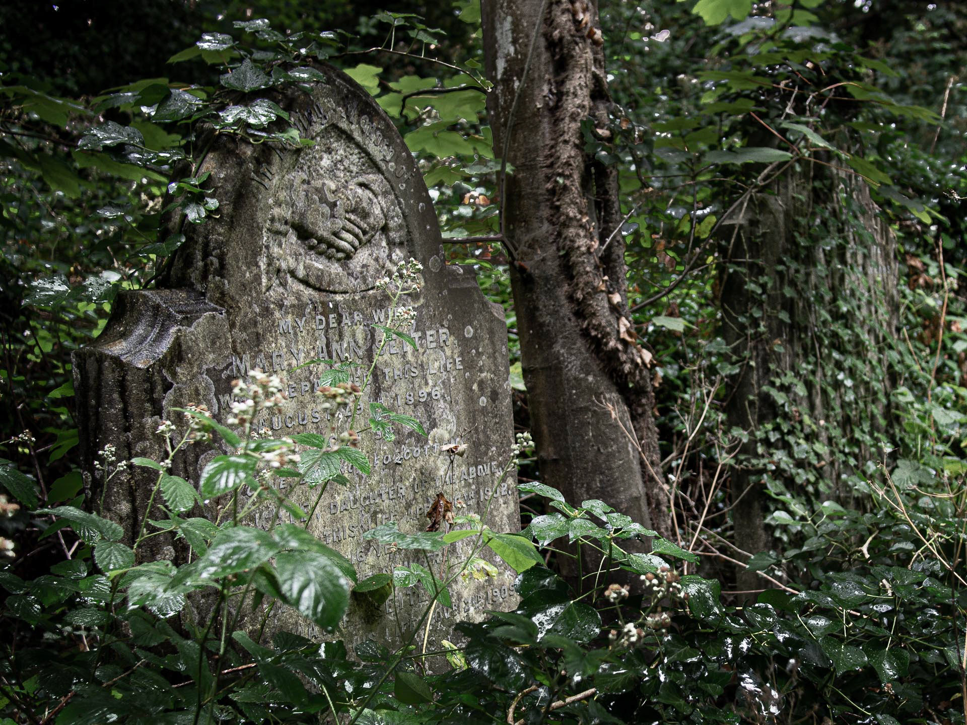20220629 Nunhead Cemetery