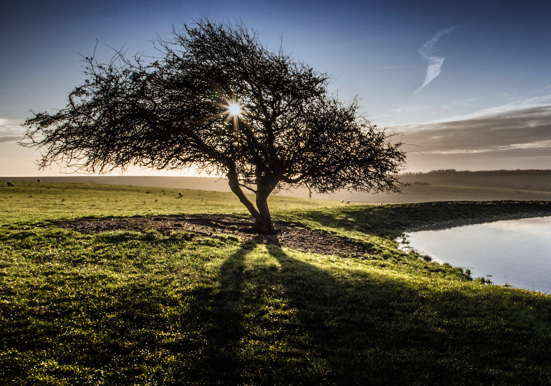 Morning Light, South Downs