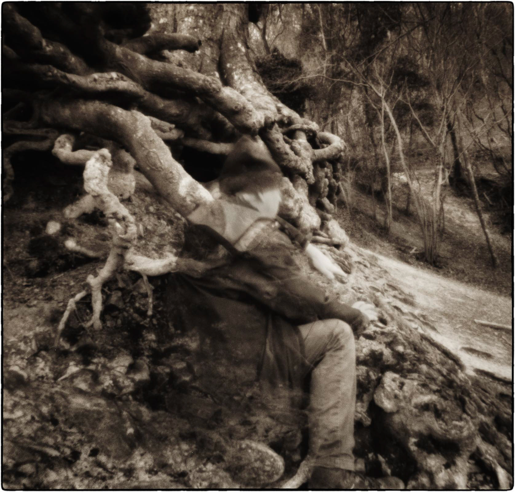 20220318 At one with the trees (pinhole)