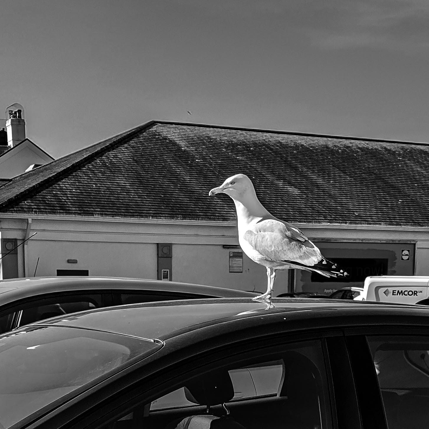 20220310 Lookout in the carpark