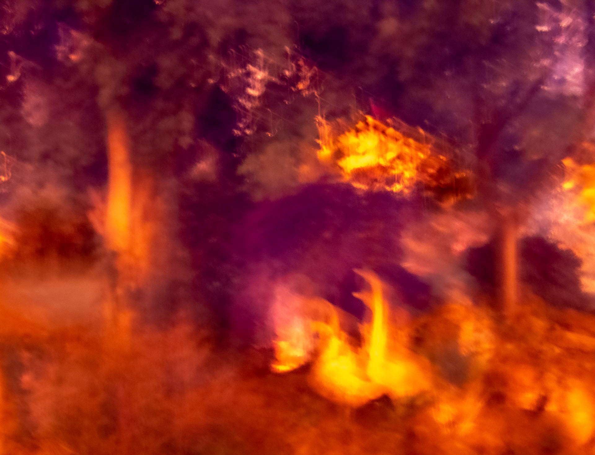 20220613 Acer (ICM and Infra Red)