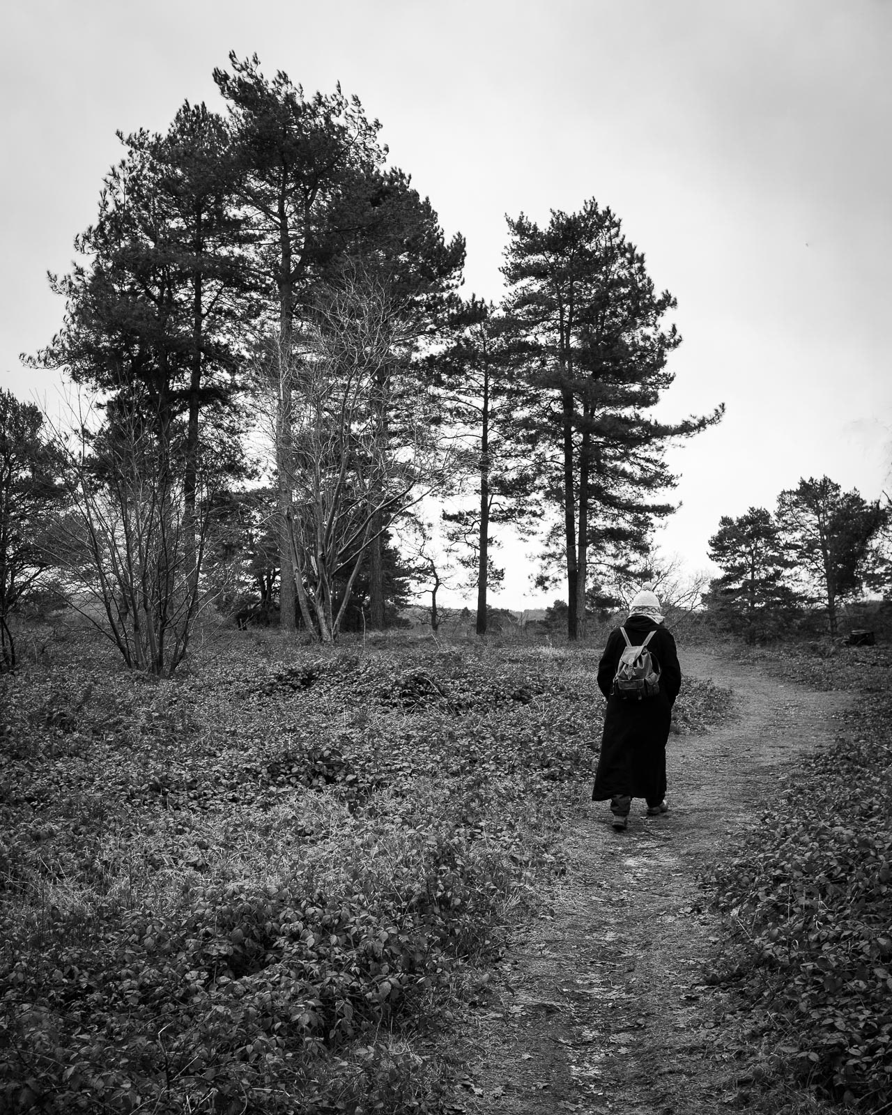 20220107 Winter Walk