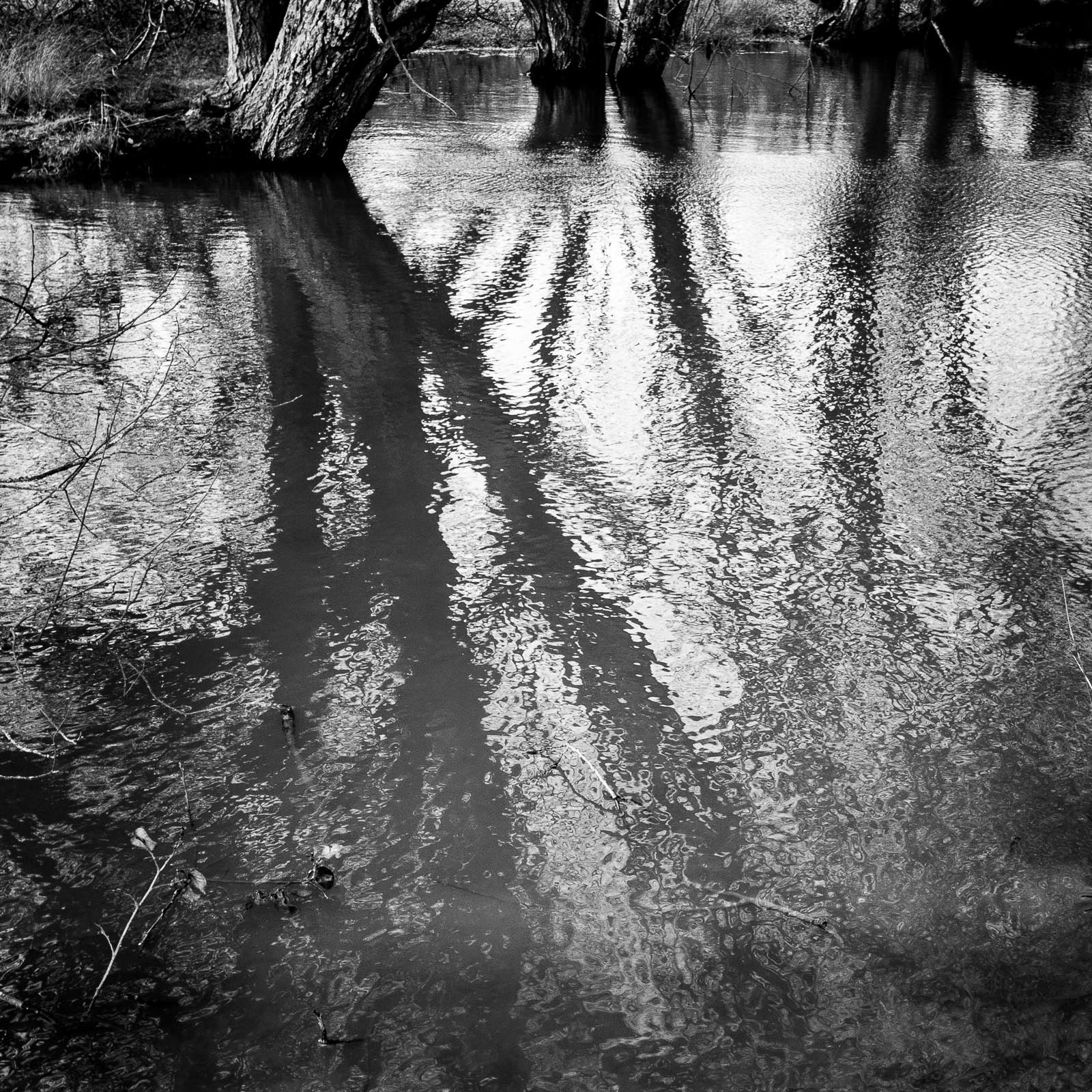 20221225 Sandgate Puddle