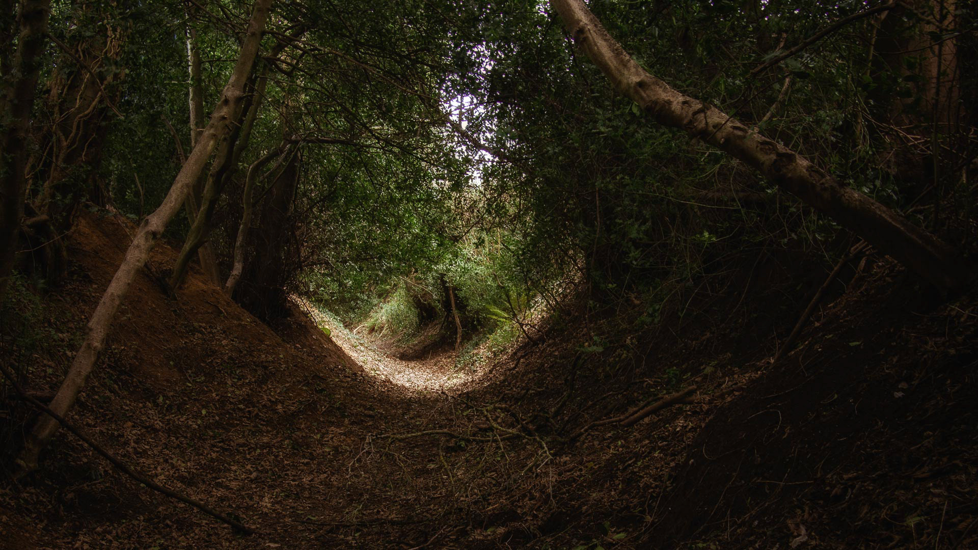 20220222 Light at the end of the tunnel