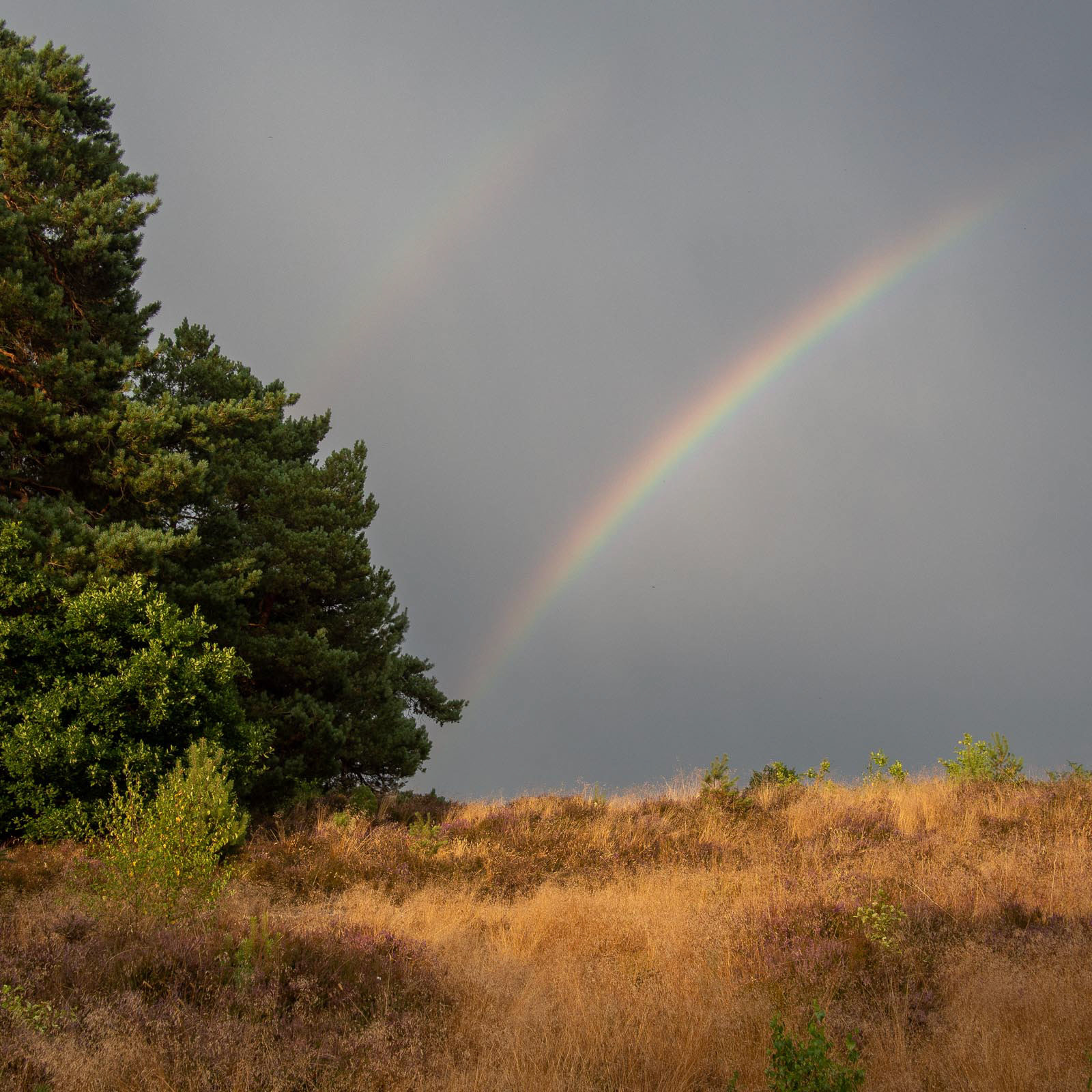 20220719 Sullington  Warren Rainbow