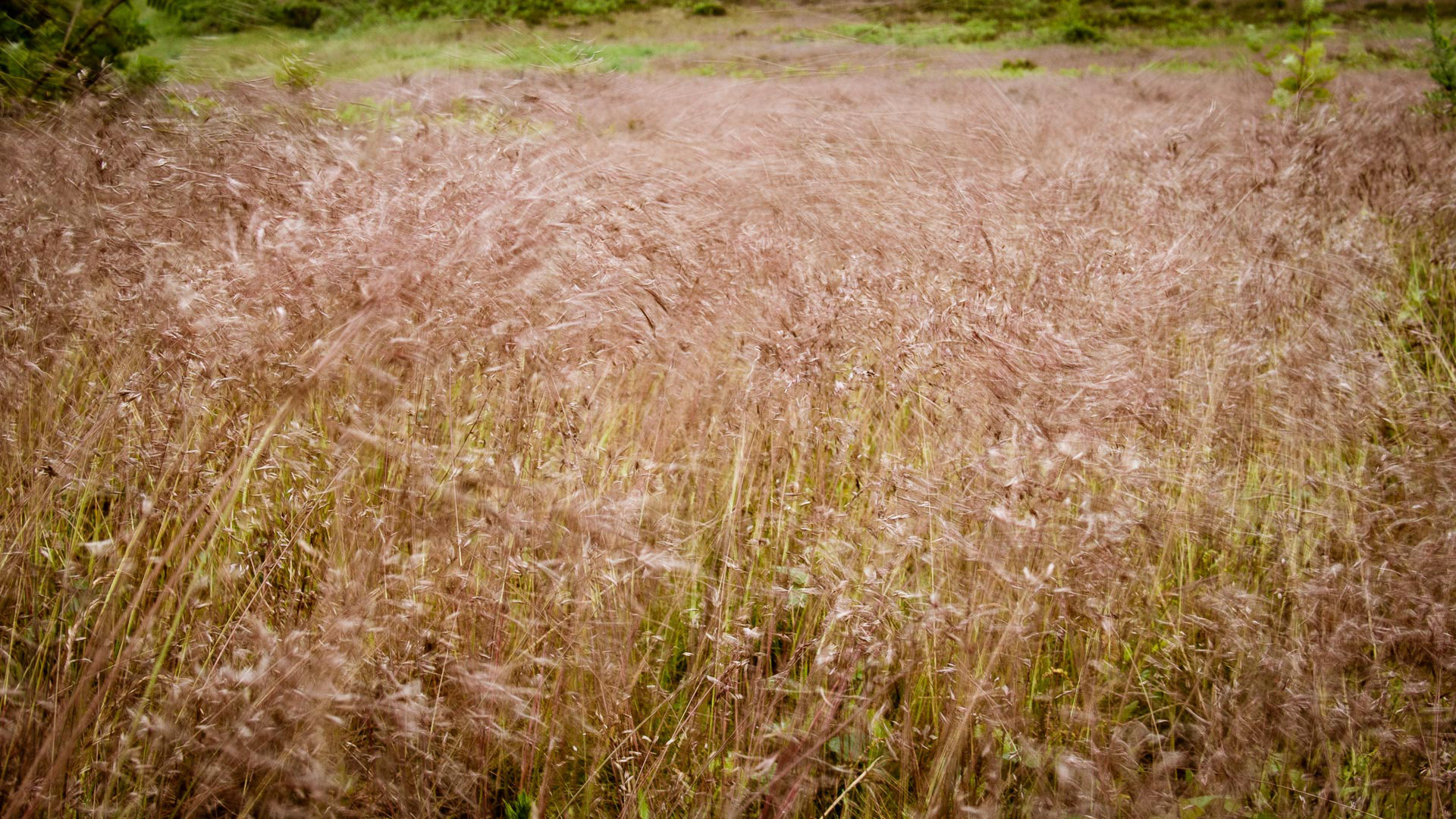 20220608 Summer Squall