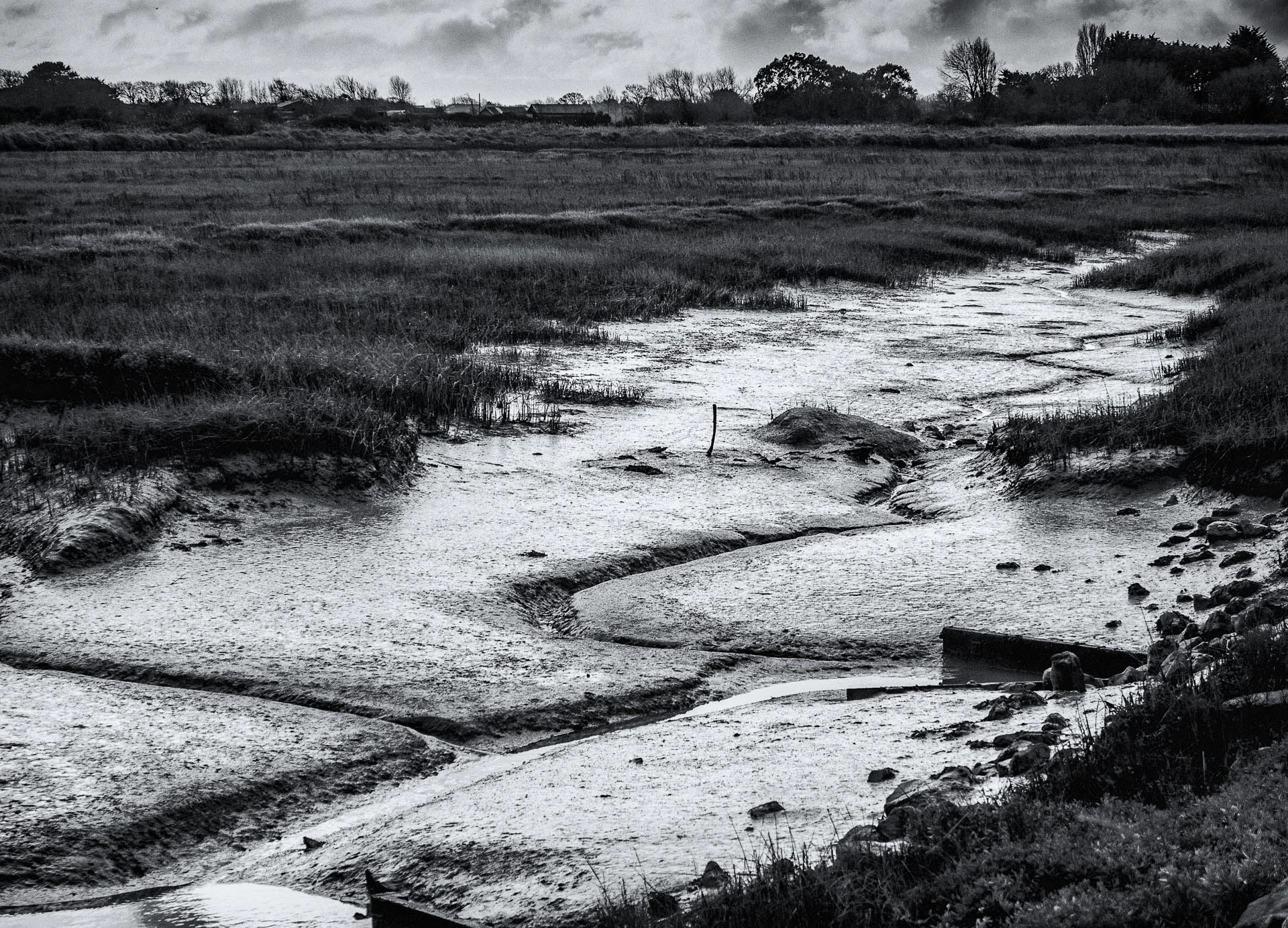 20220209 Low Tide, Pagham