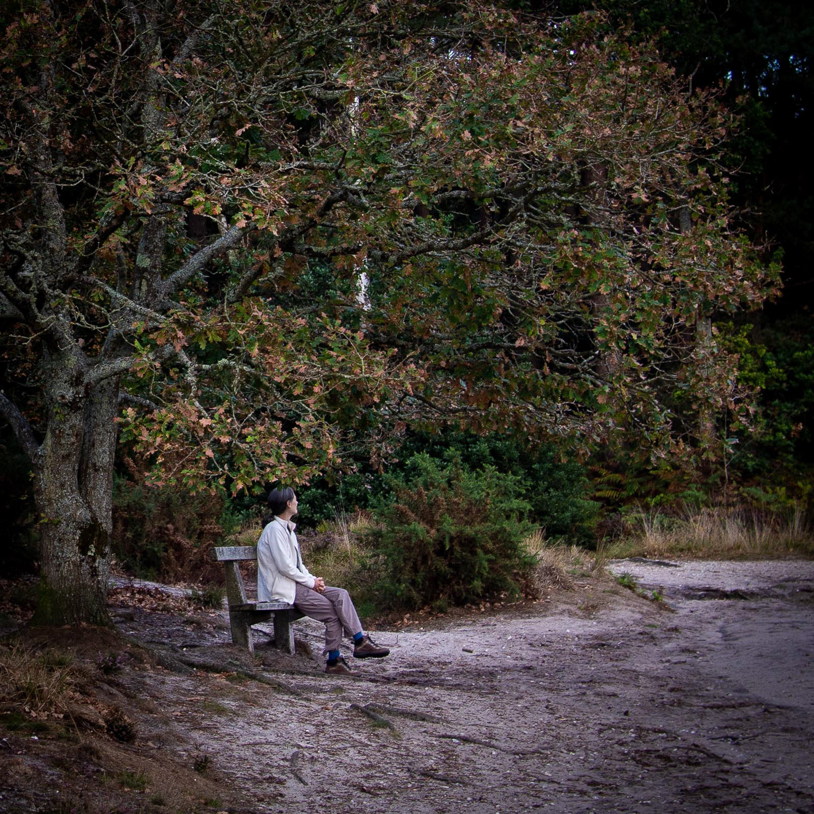 20220905 Sit a While, Sullington Warren