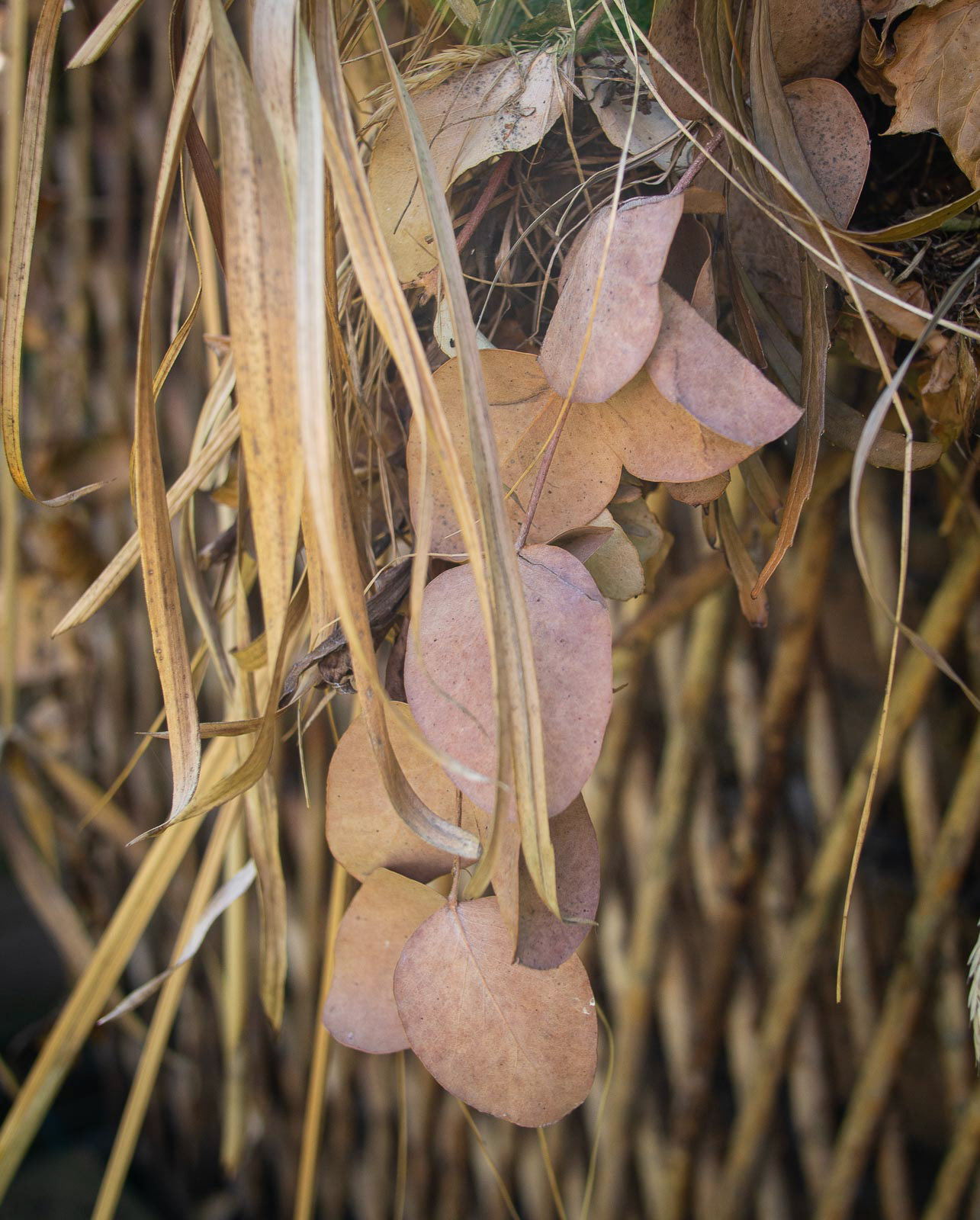 20220622 Leaves on compost heap