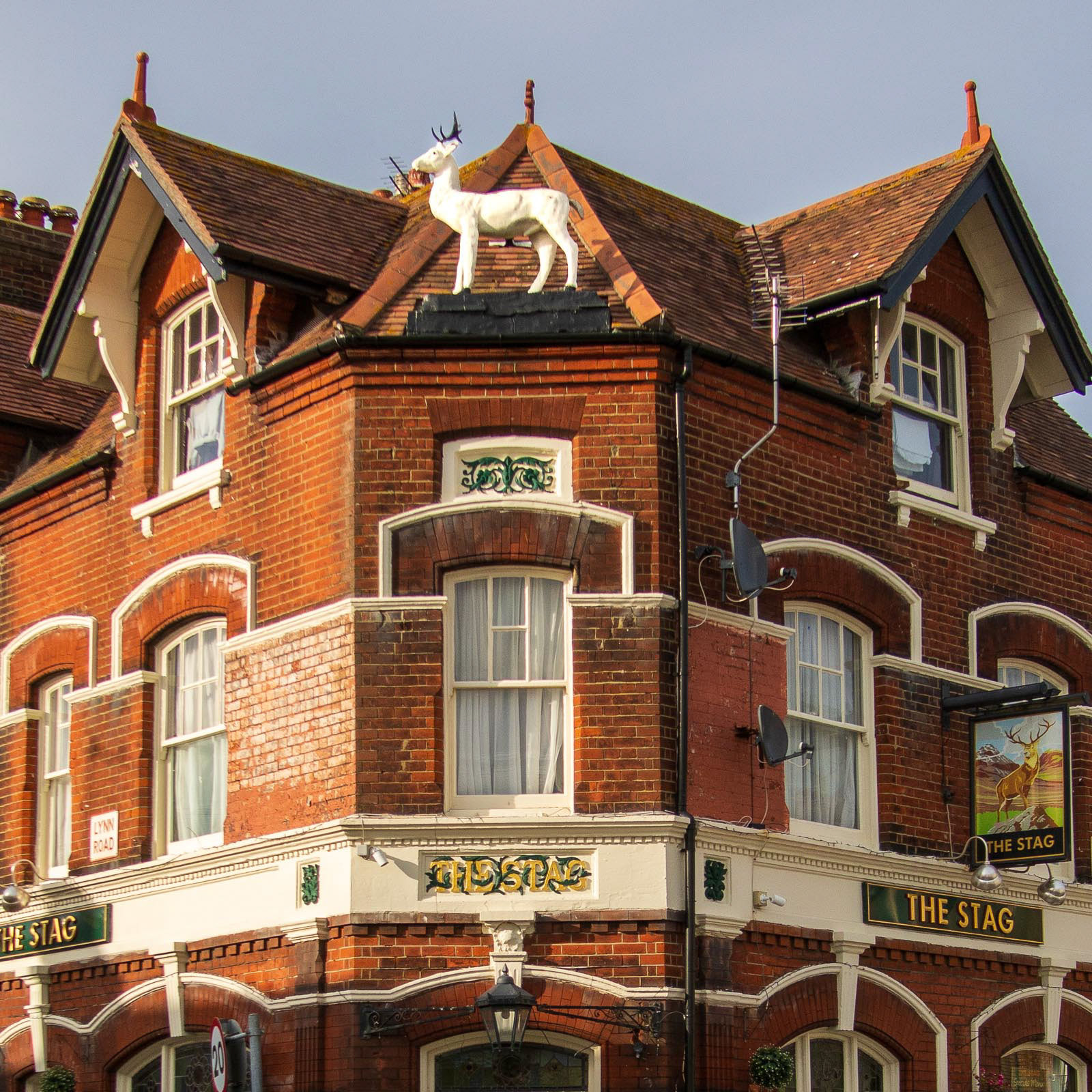 20220522 The Stag