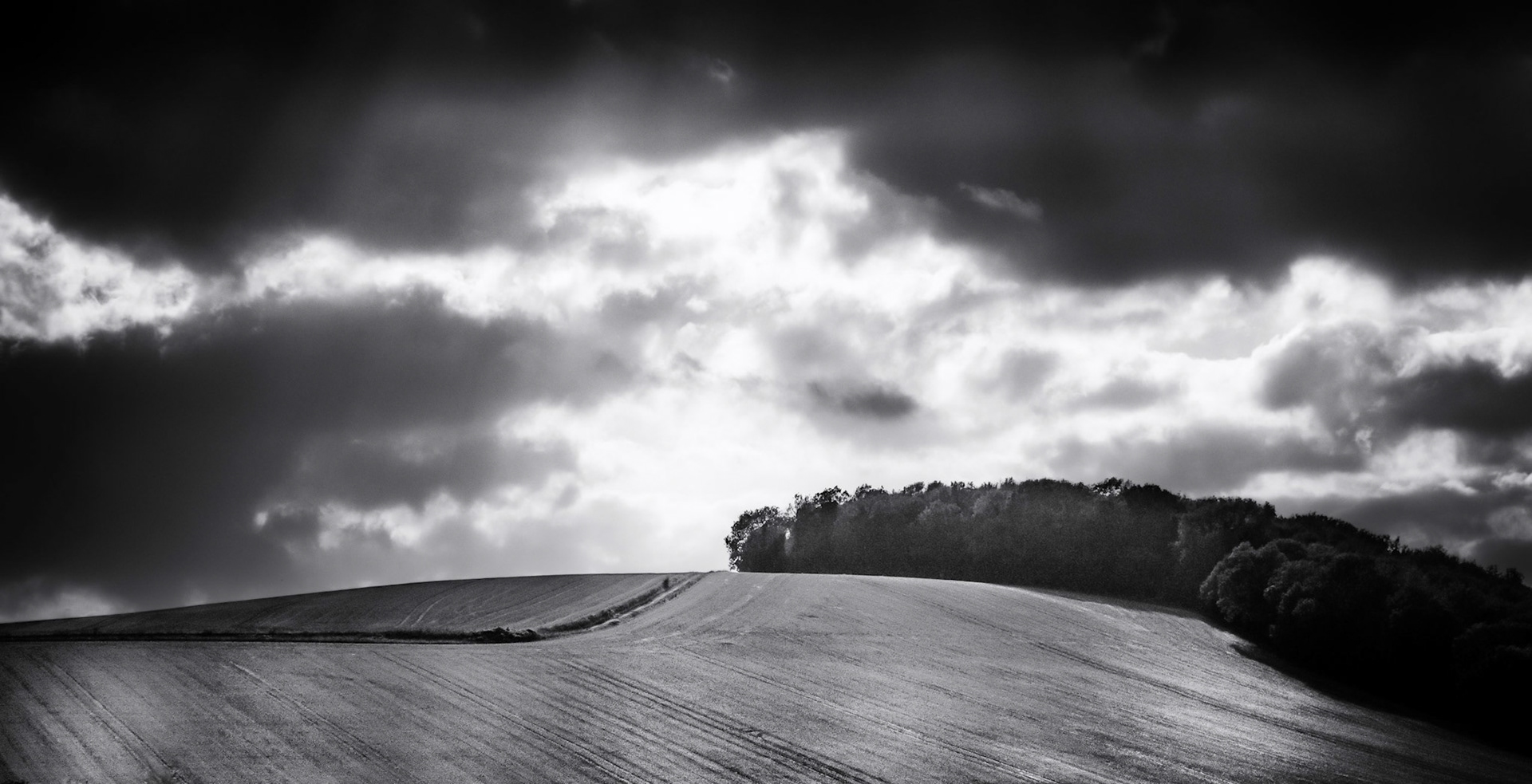 Winter Sun, South Downs