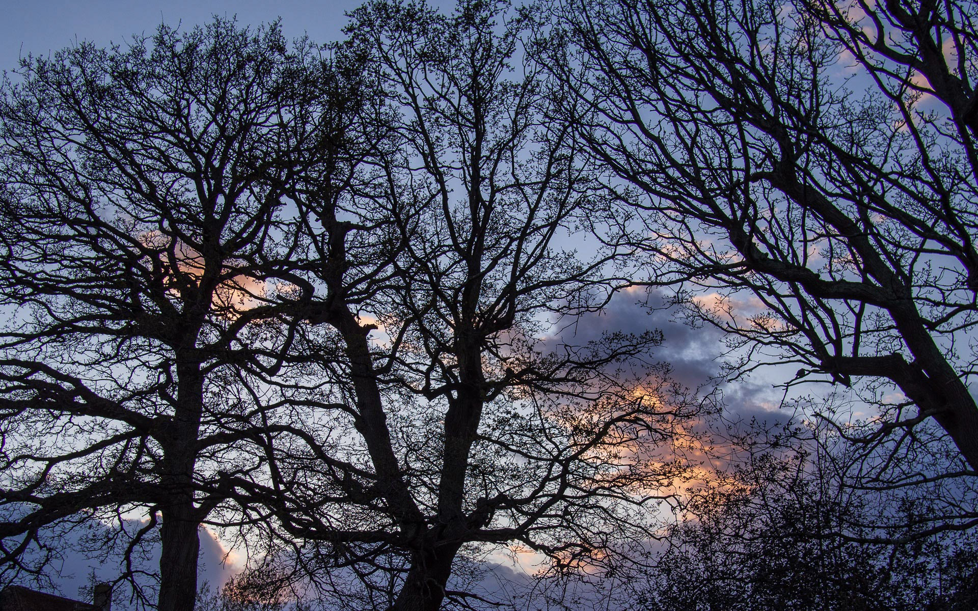 20220331 Evening Sky